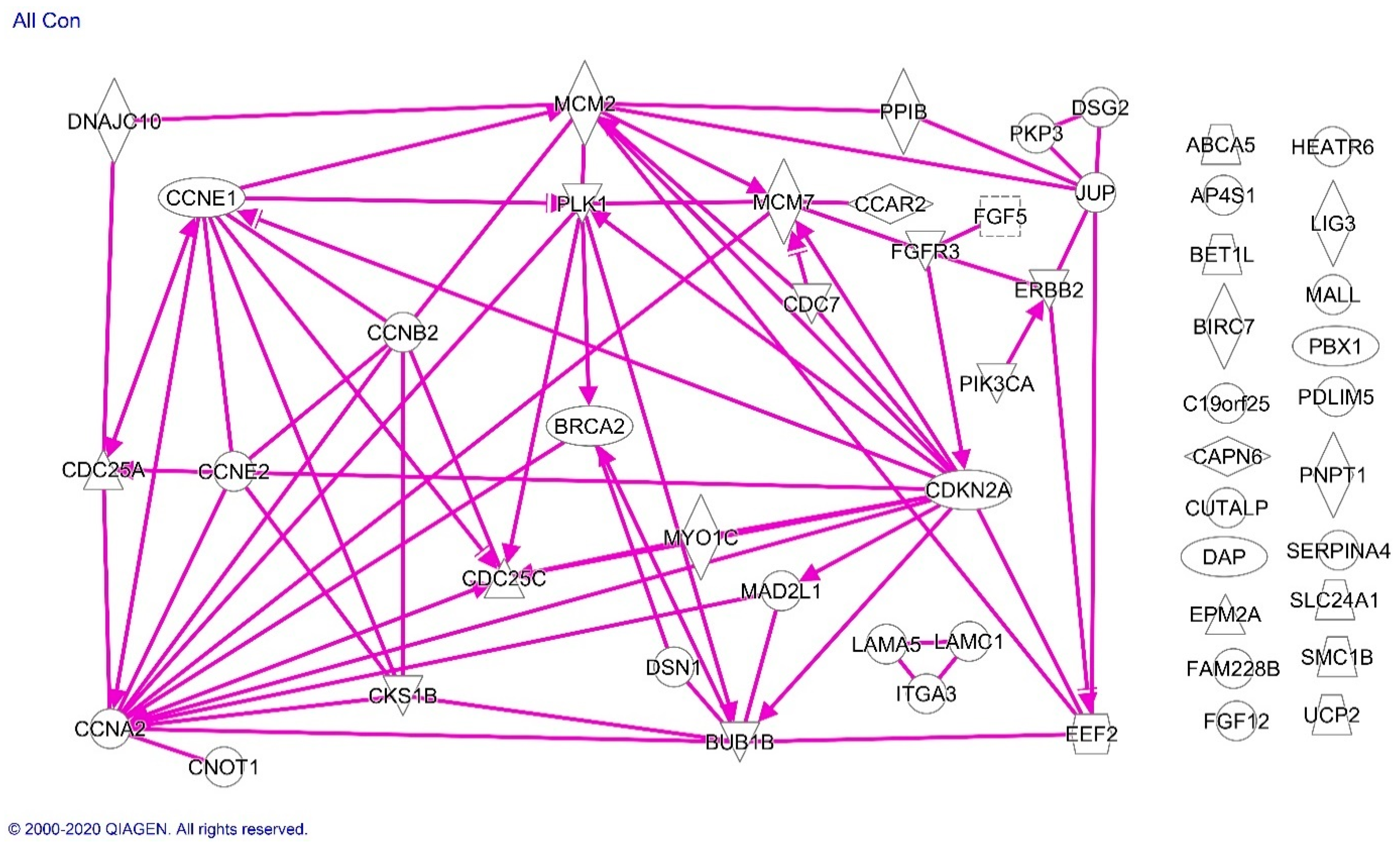 Cancers 13 01900 g004