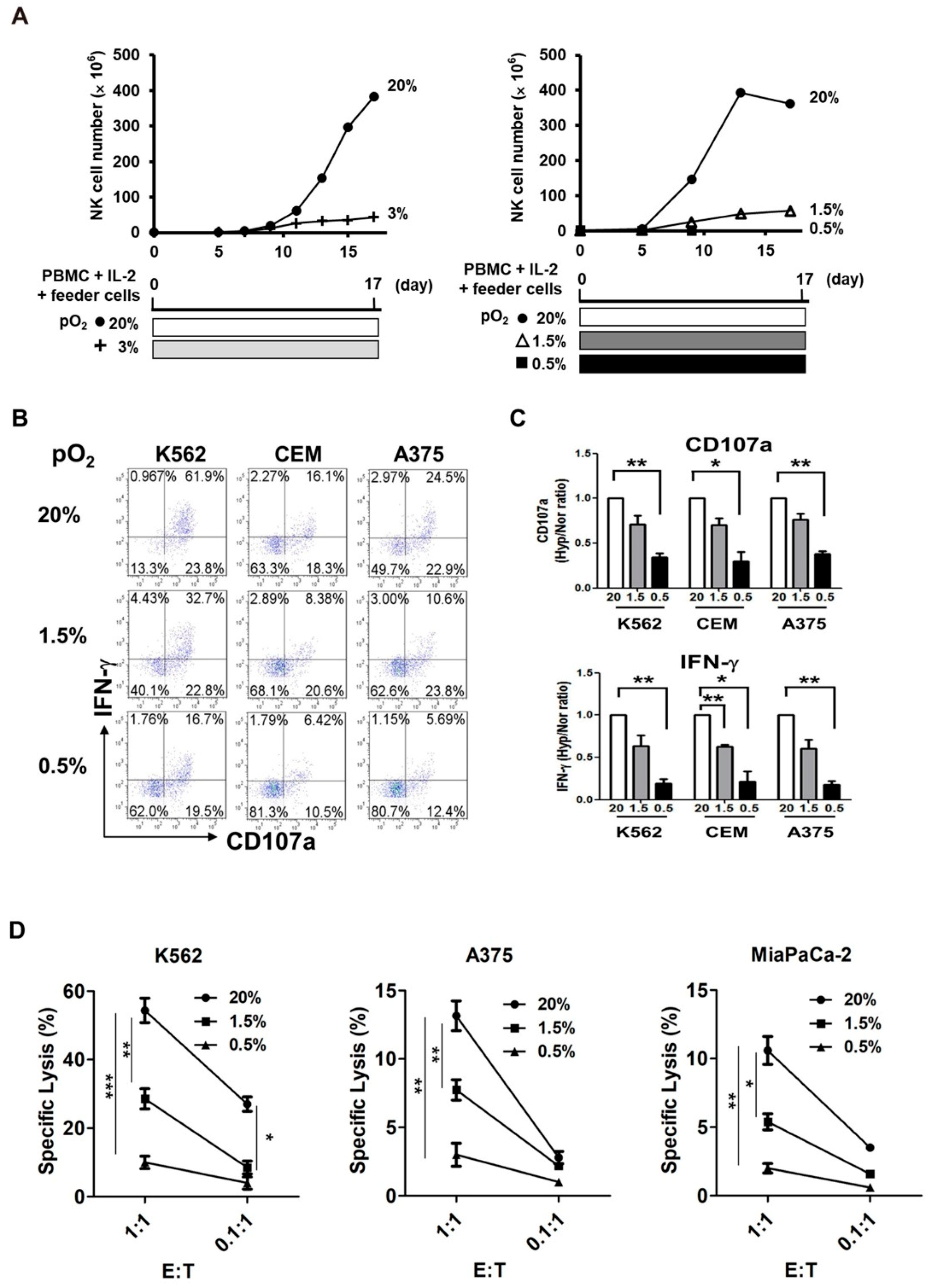 Cancers 13 01904 g001 Cancers 13 01904 g001