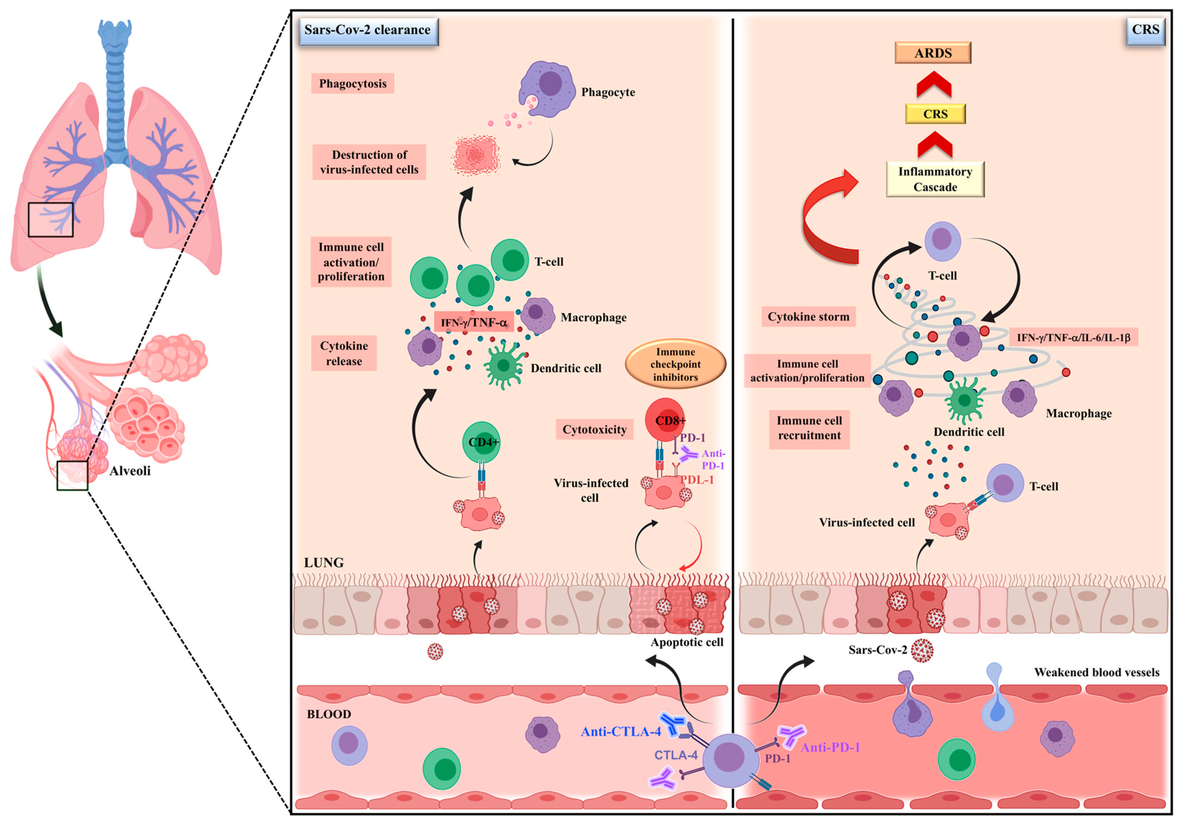 Cancers 13 01906 g001