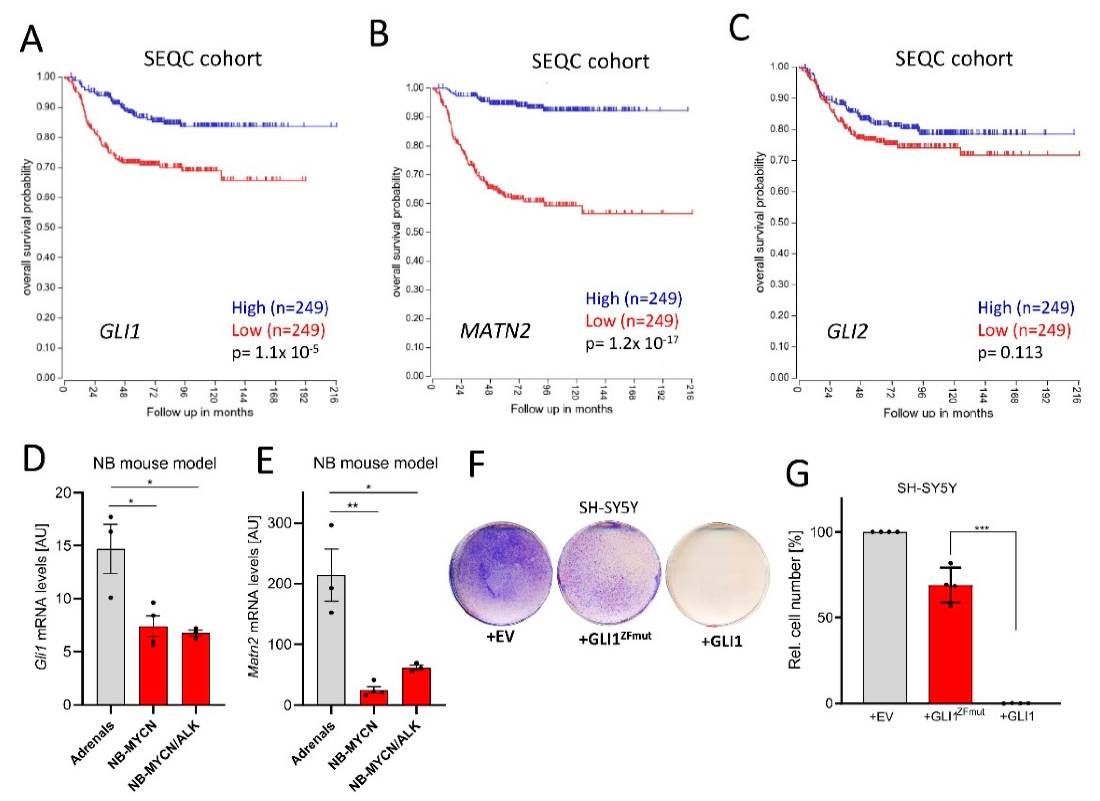 Cancers 13 01908 g001