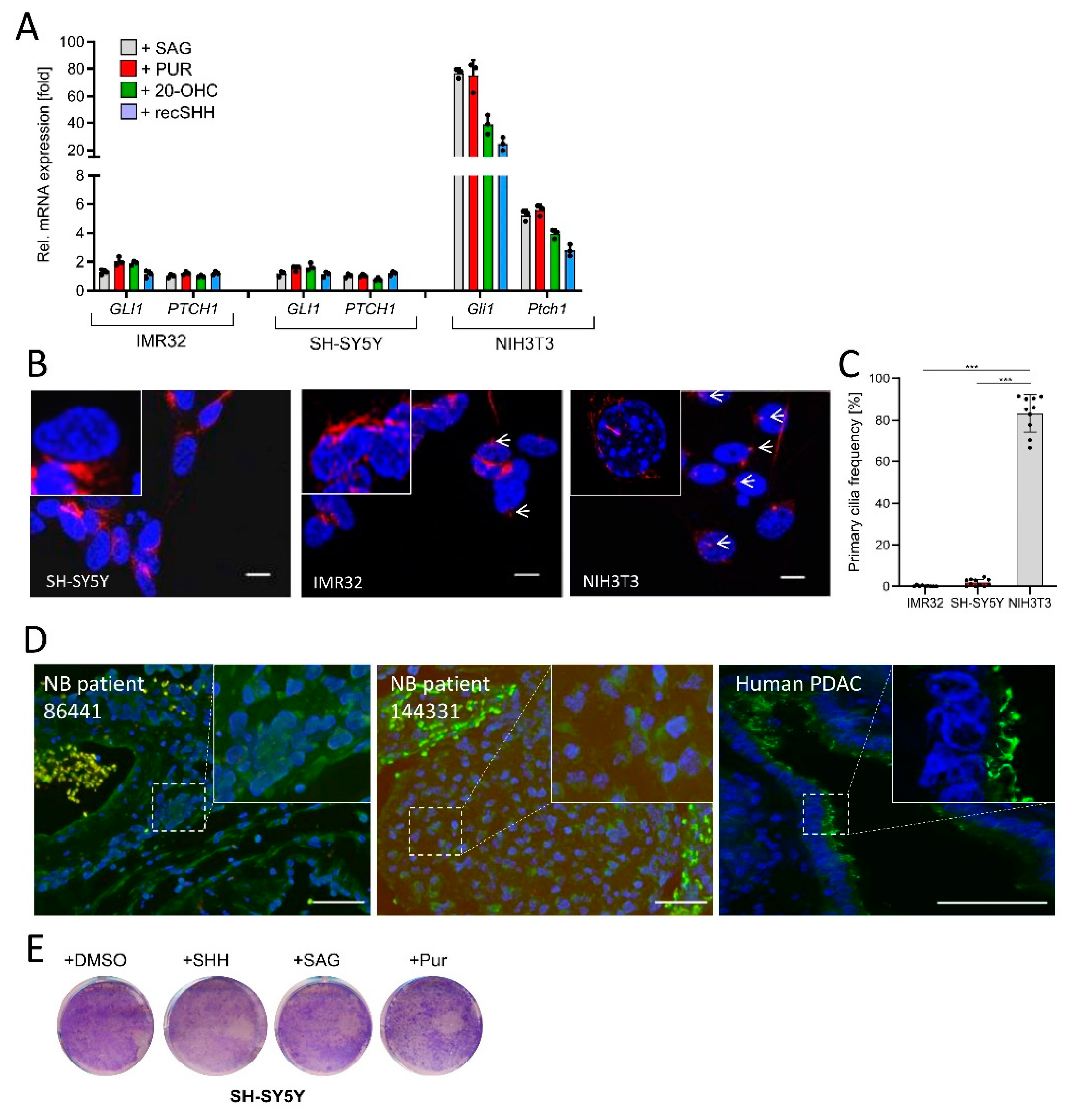 Cancers 13 01908 g002
