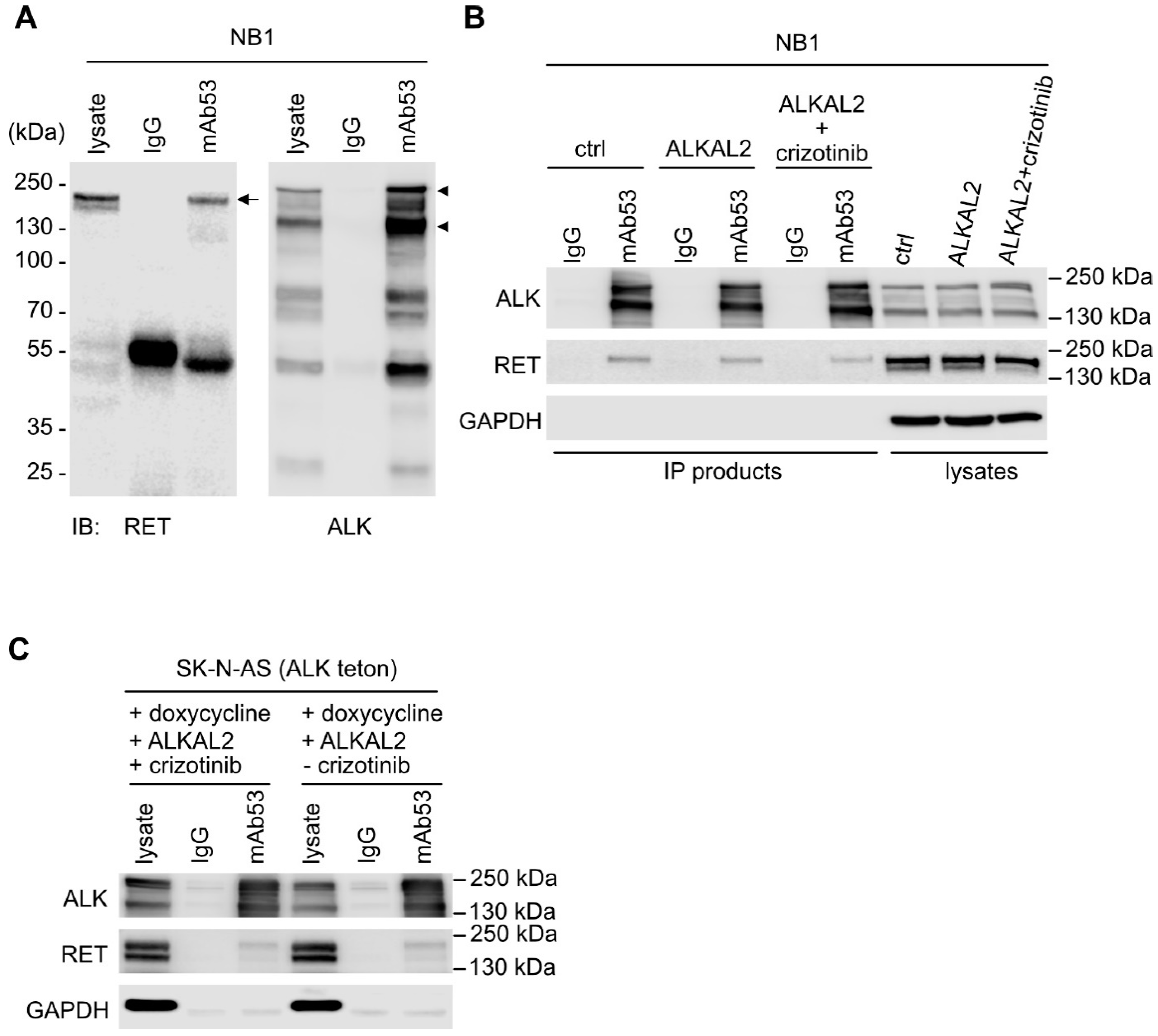 Cancers 13 01909 g002