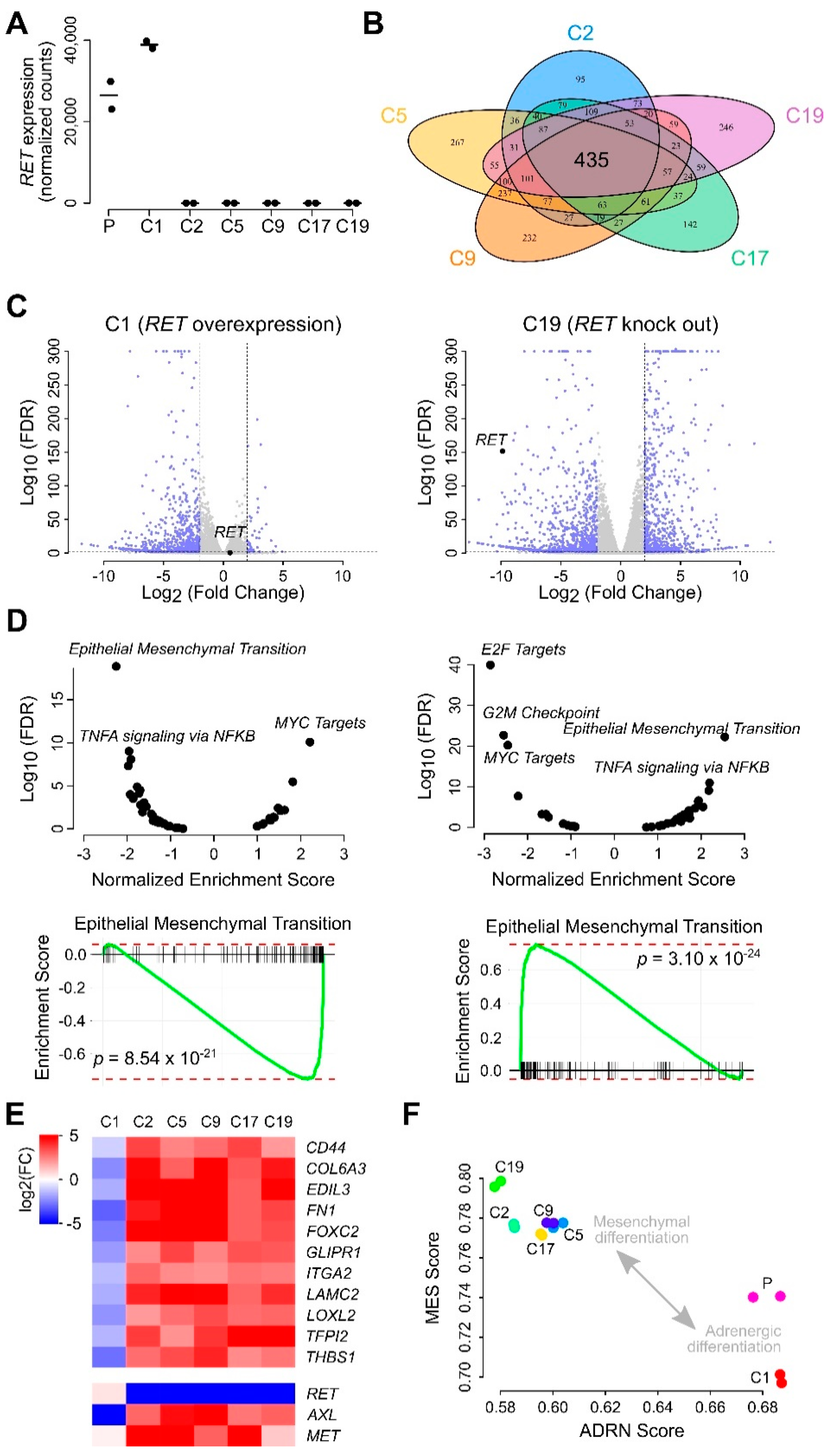 Cancers 13 01909 g005