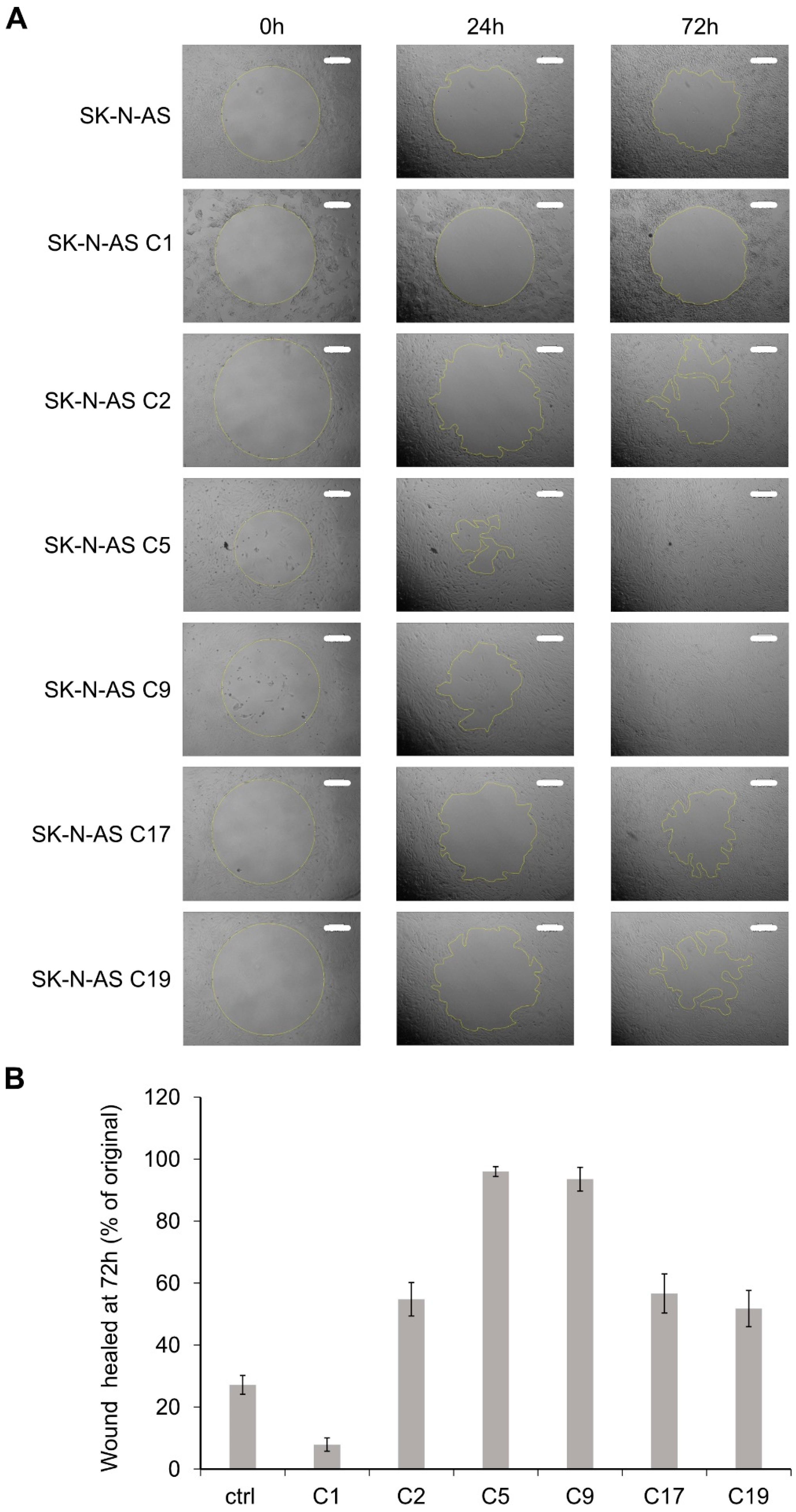 Cancers 13 01909 g006