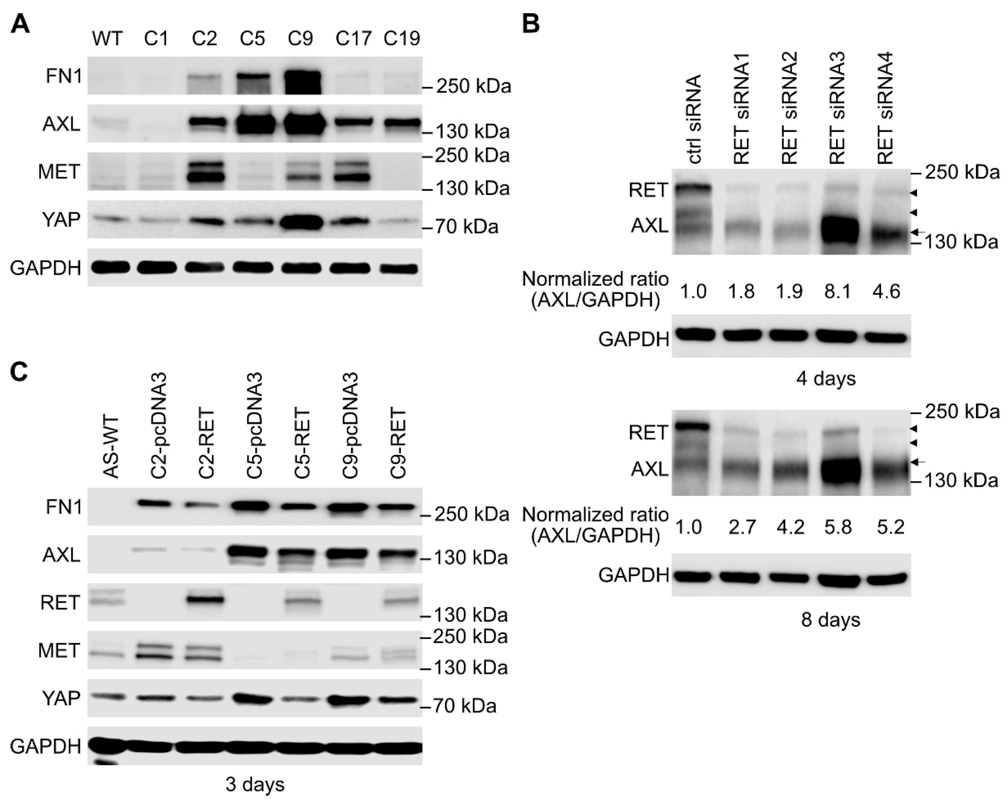 Cancers 13 01909 g007