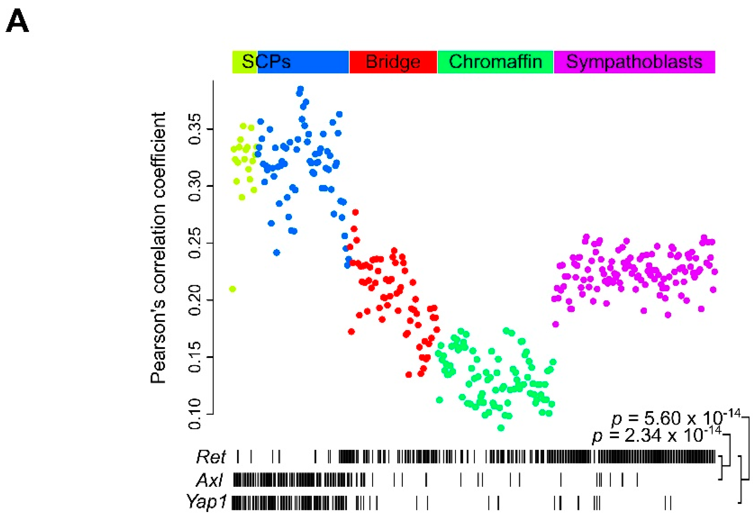 Cancers 13 01909 g008a