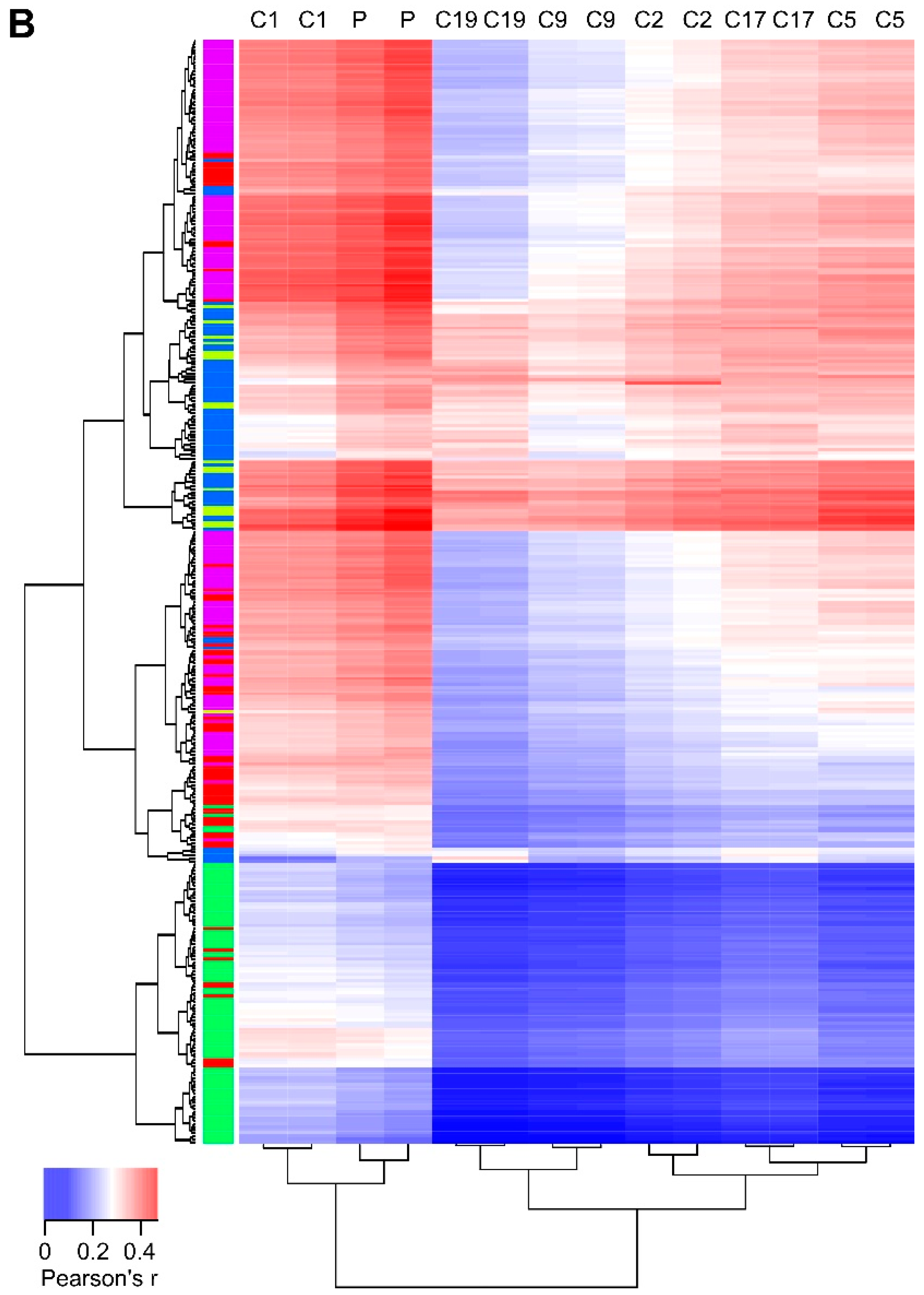 Cancers 13 01909 g008b