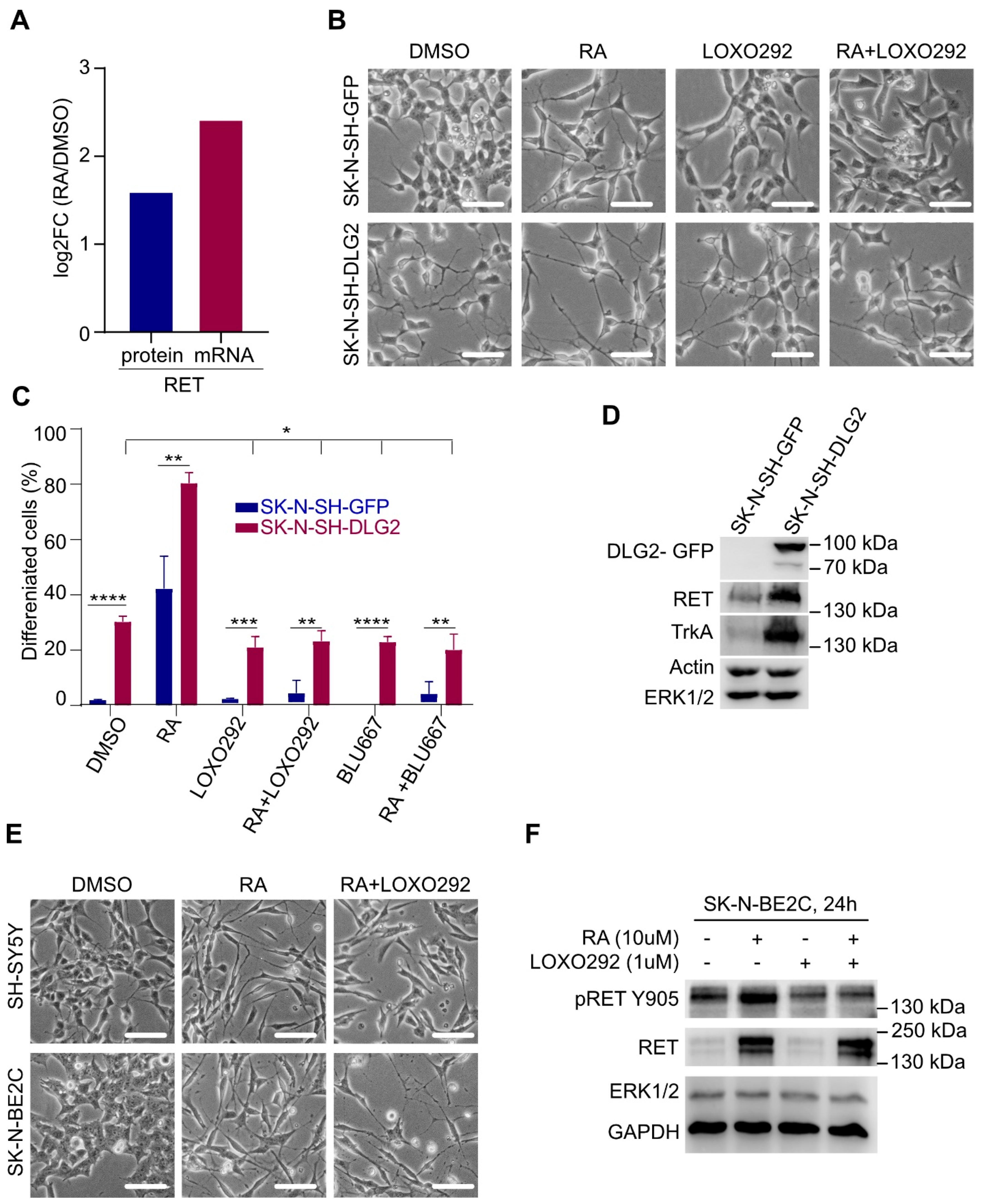 Cancers 13 01909 g009
