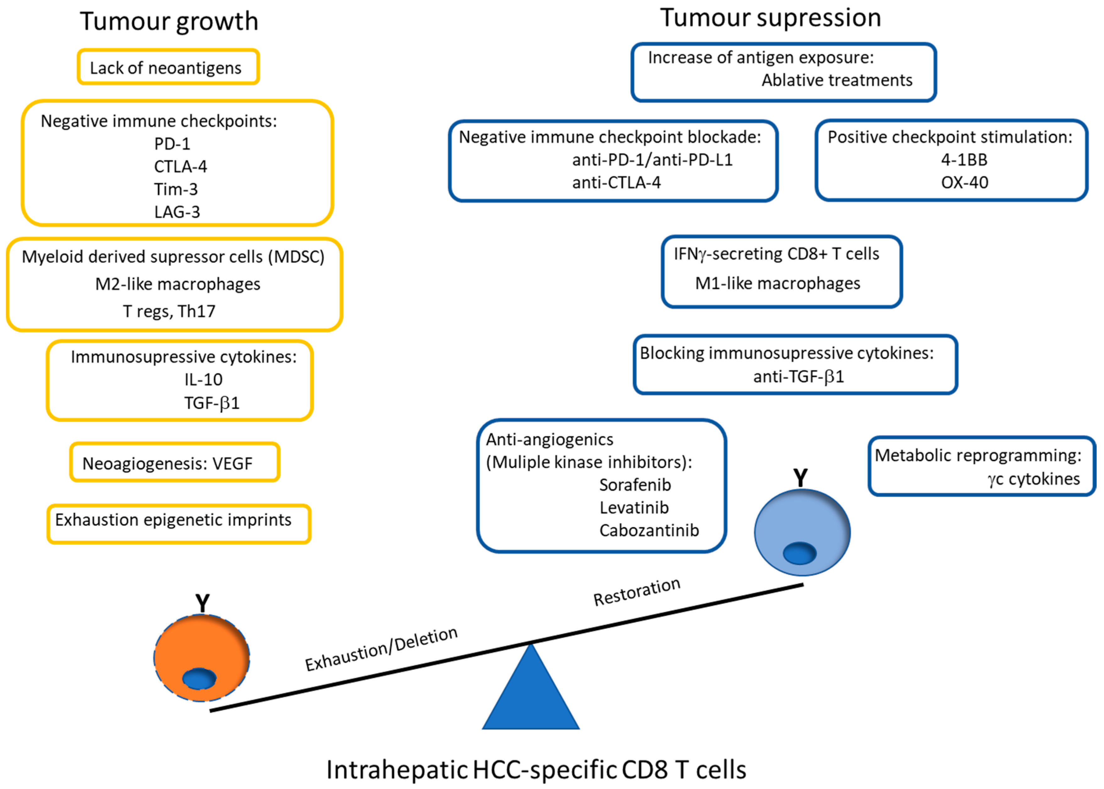 Cancers 13 01922 g003