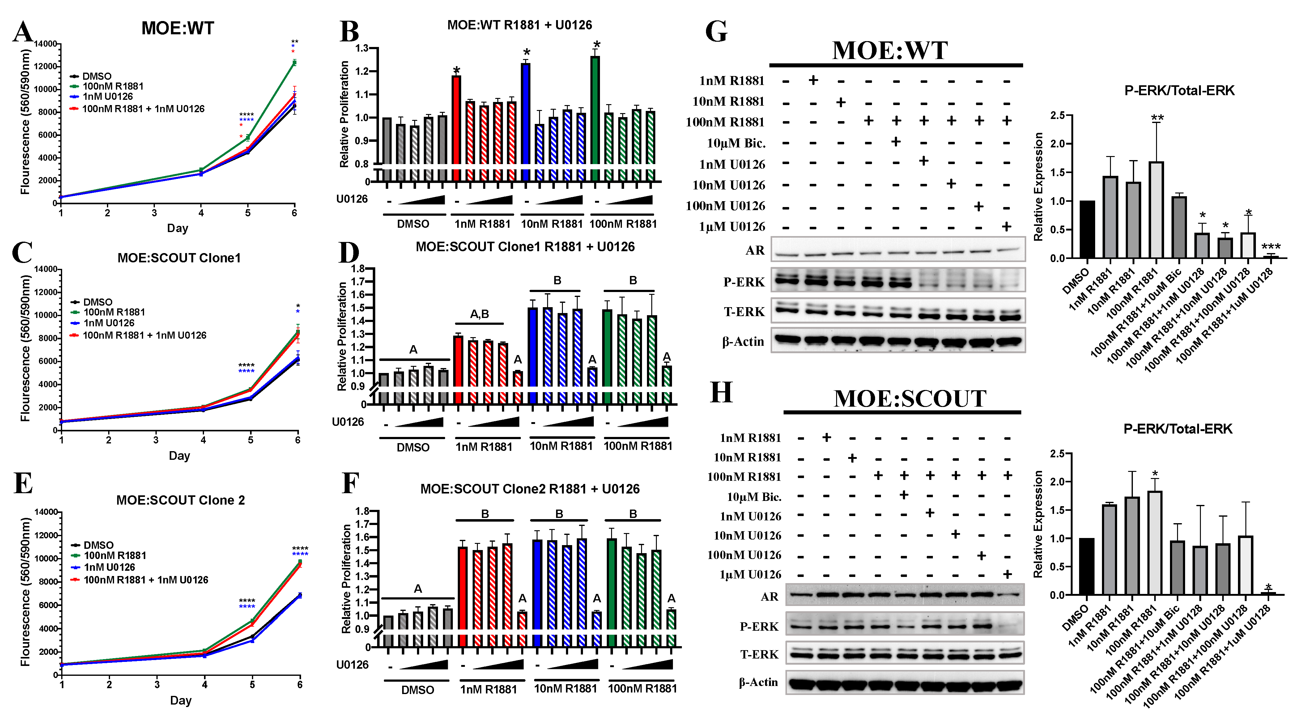 Cancers 13 01925 g003
