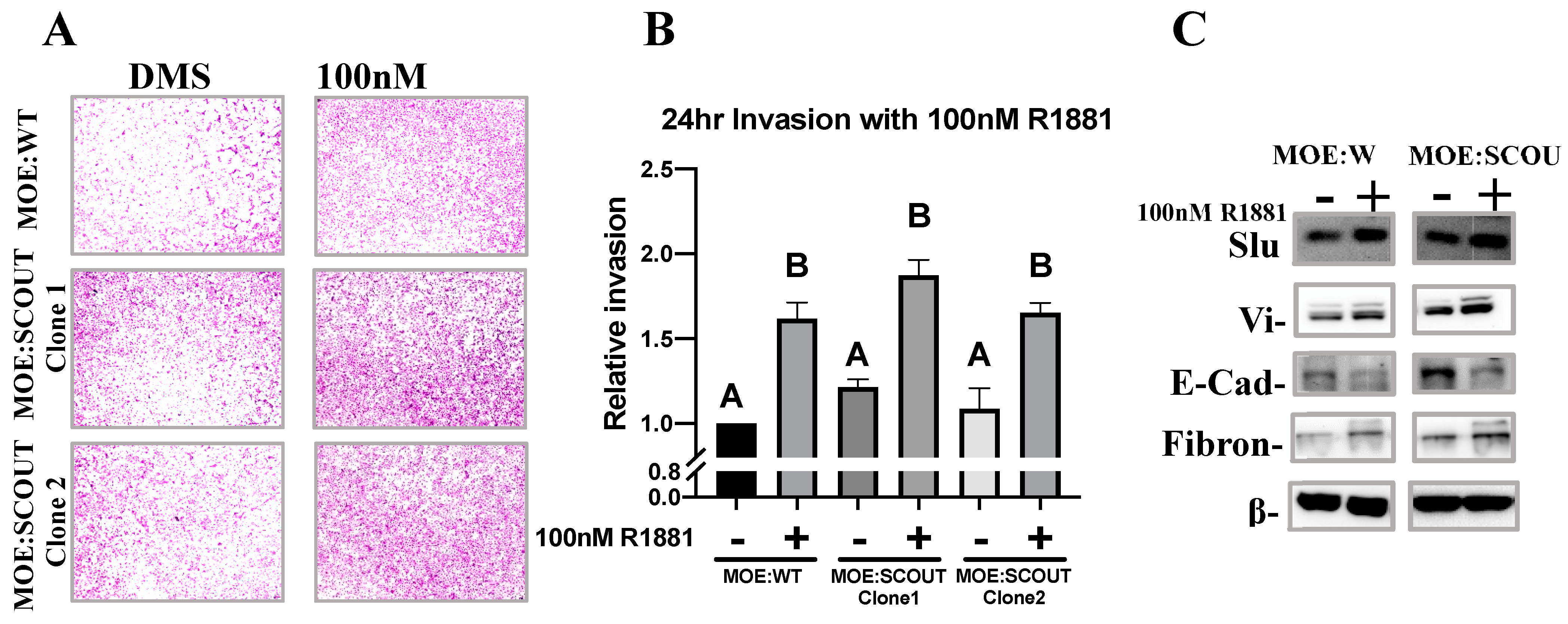Cancers 13 01925 g004