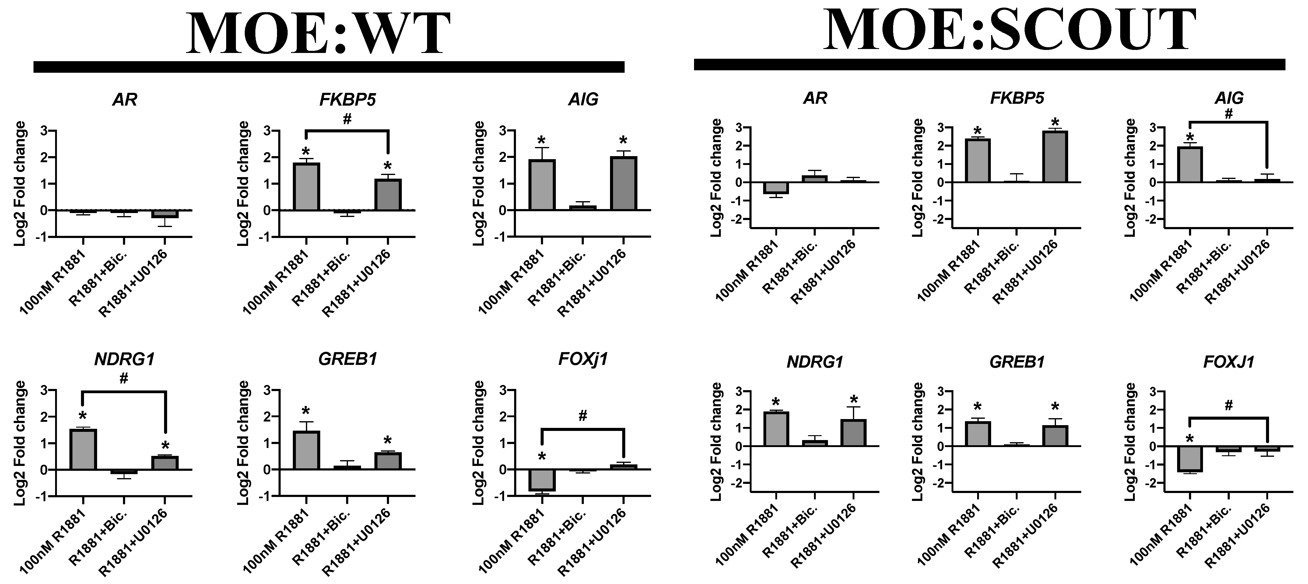 Cancers 13 01925 g005