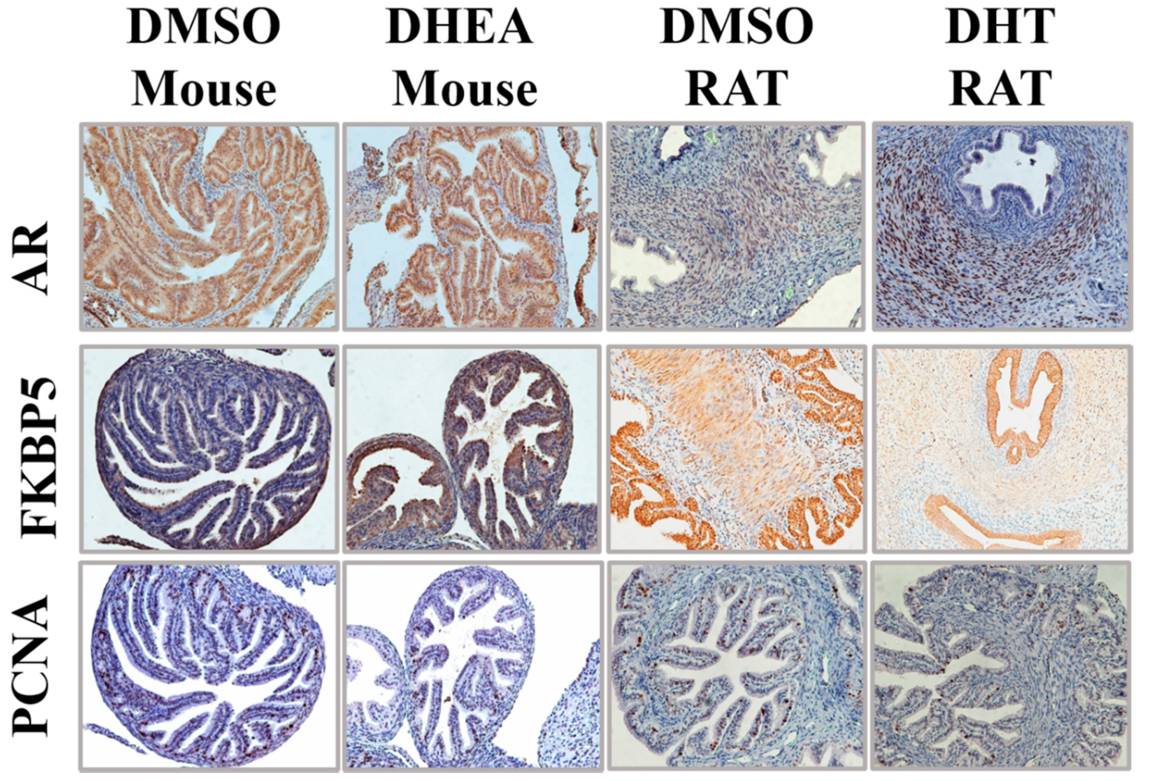 Cancers 13 01925 g006