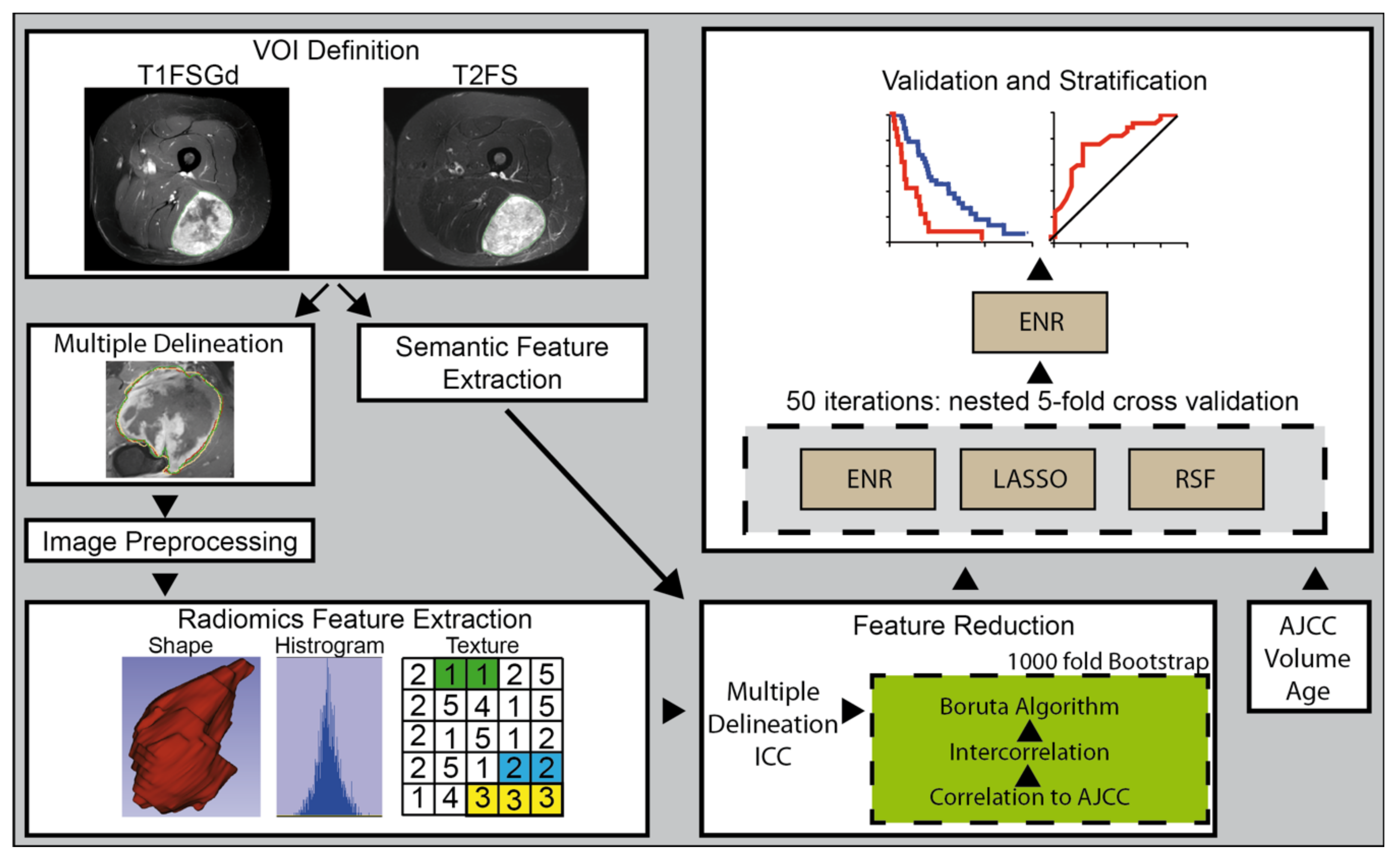 Cancers 13 01929 g001