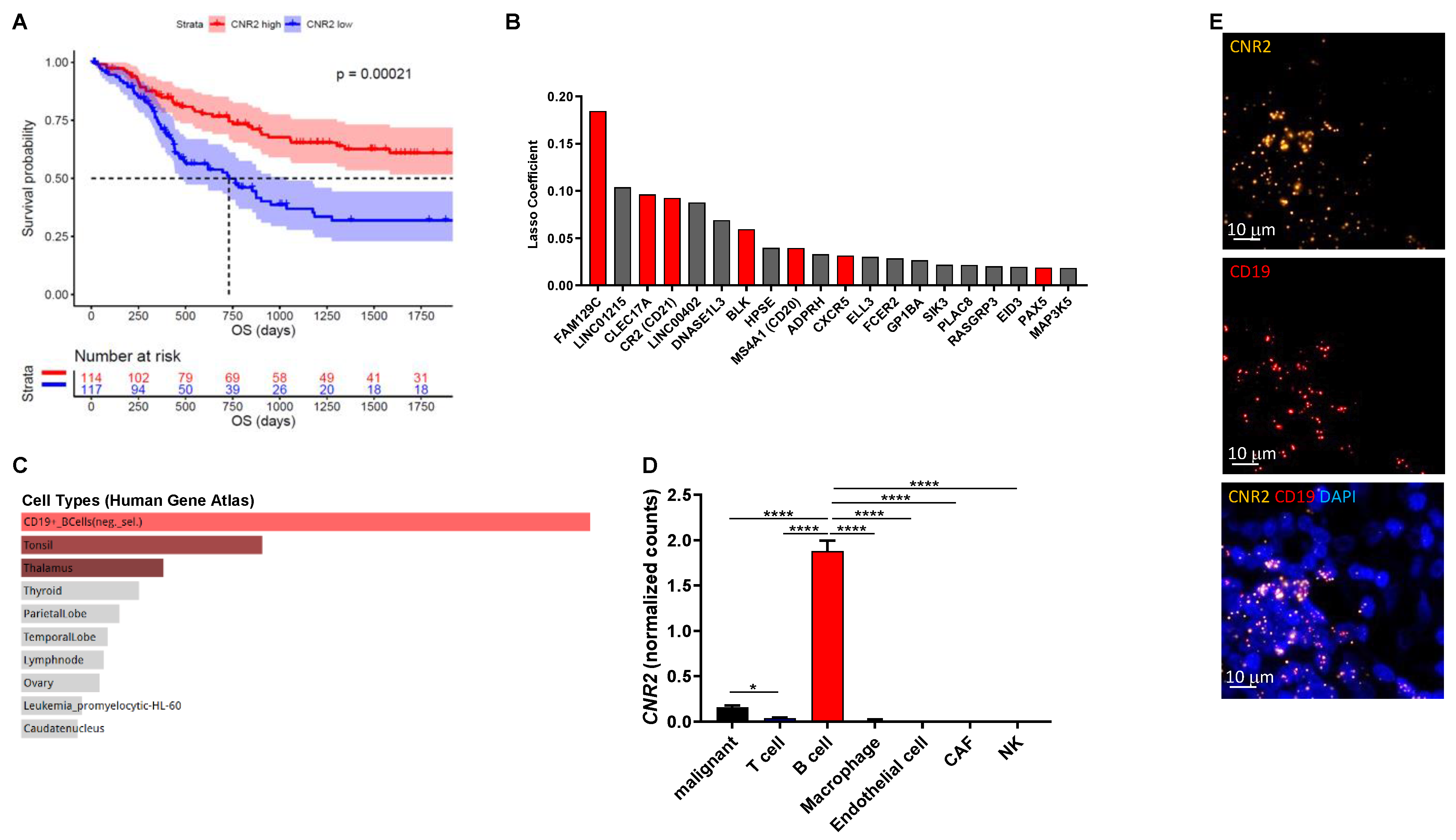 Cancers 13 01934 g001