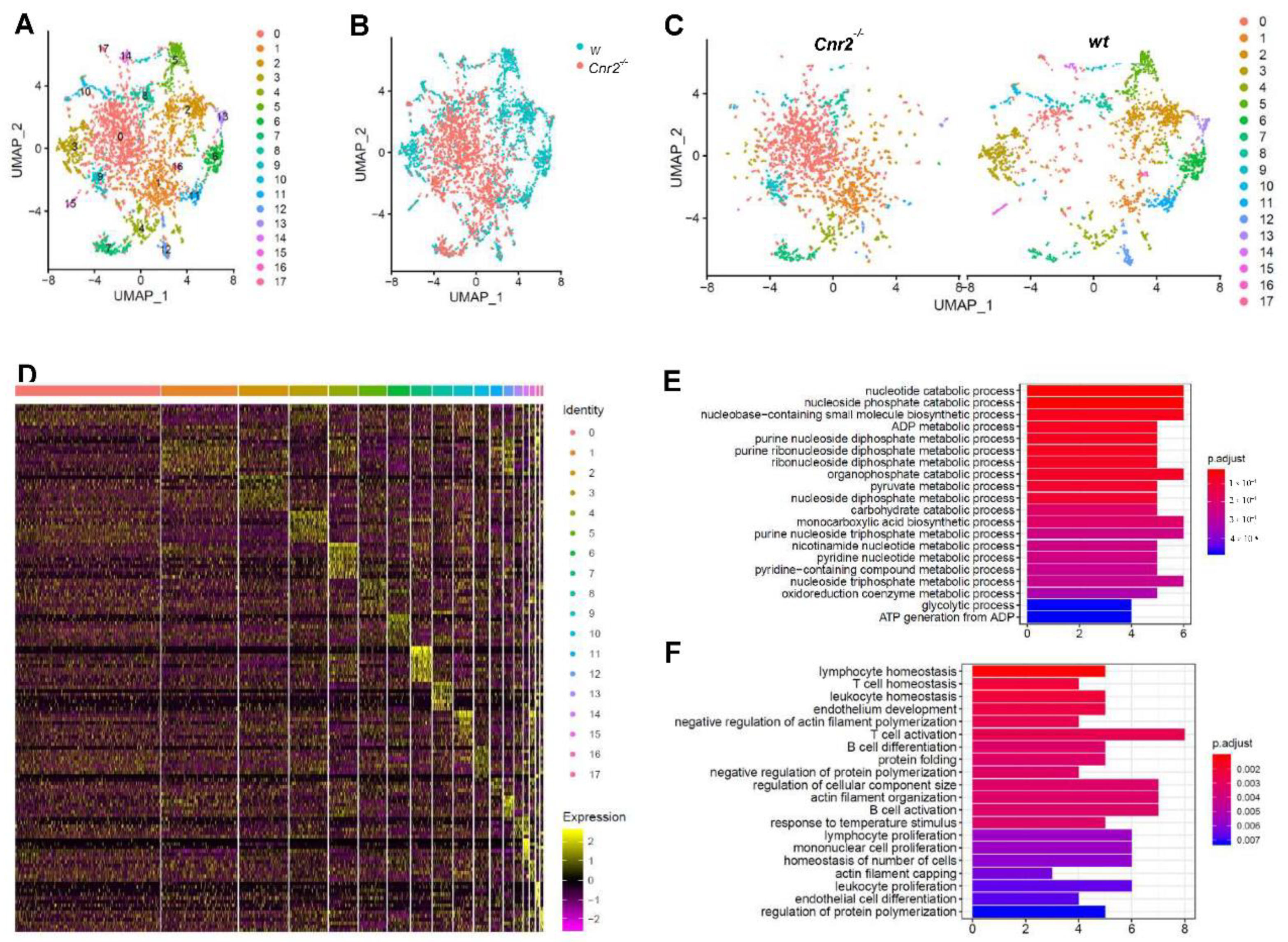 Cancers 13 01934 g003