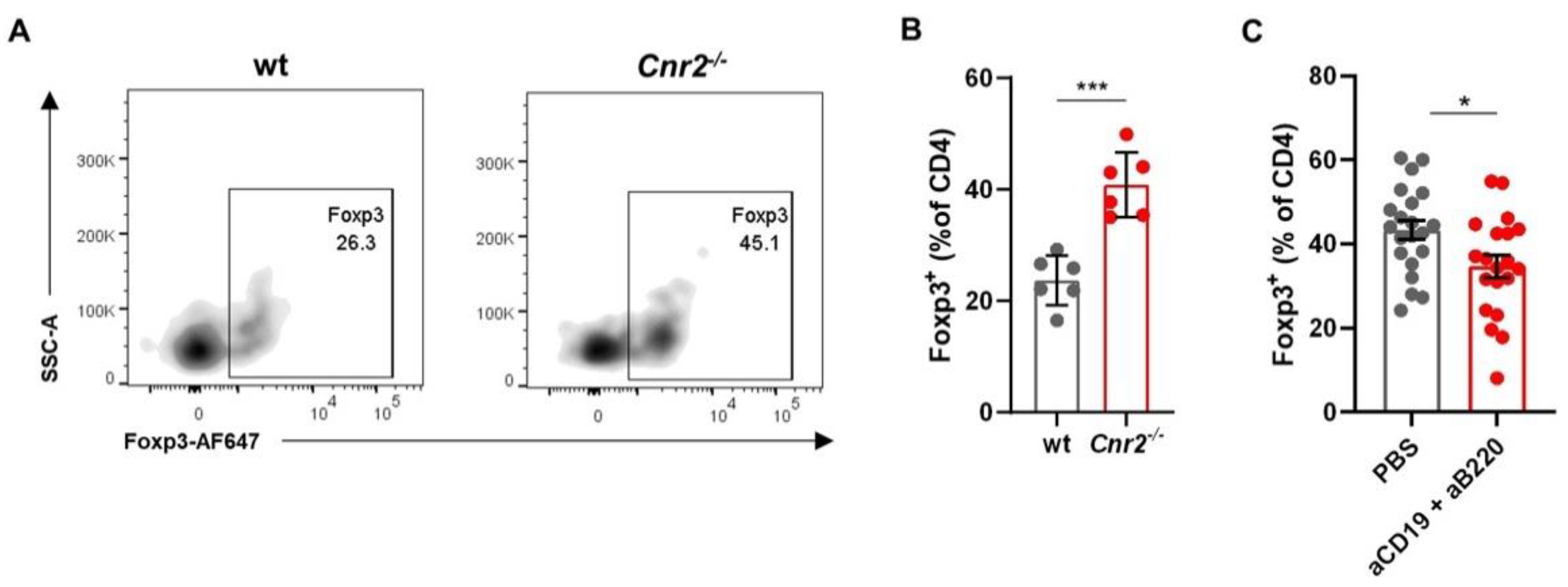 Cancers 13 01934 g004