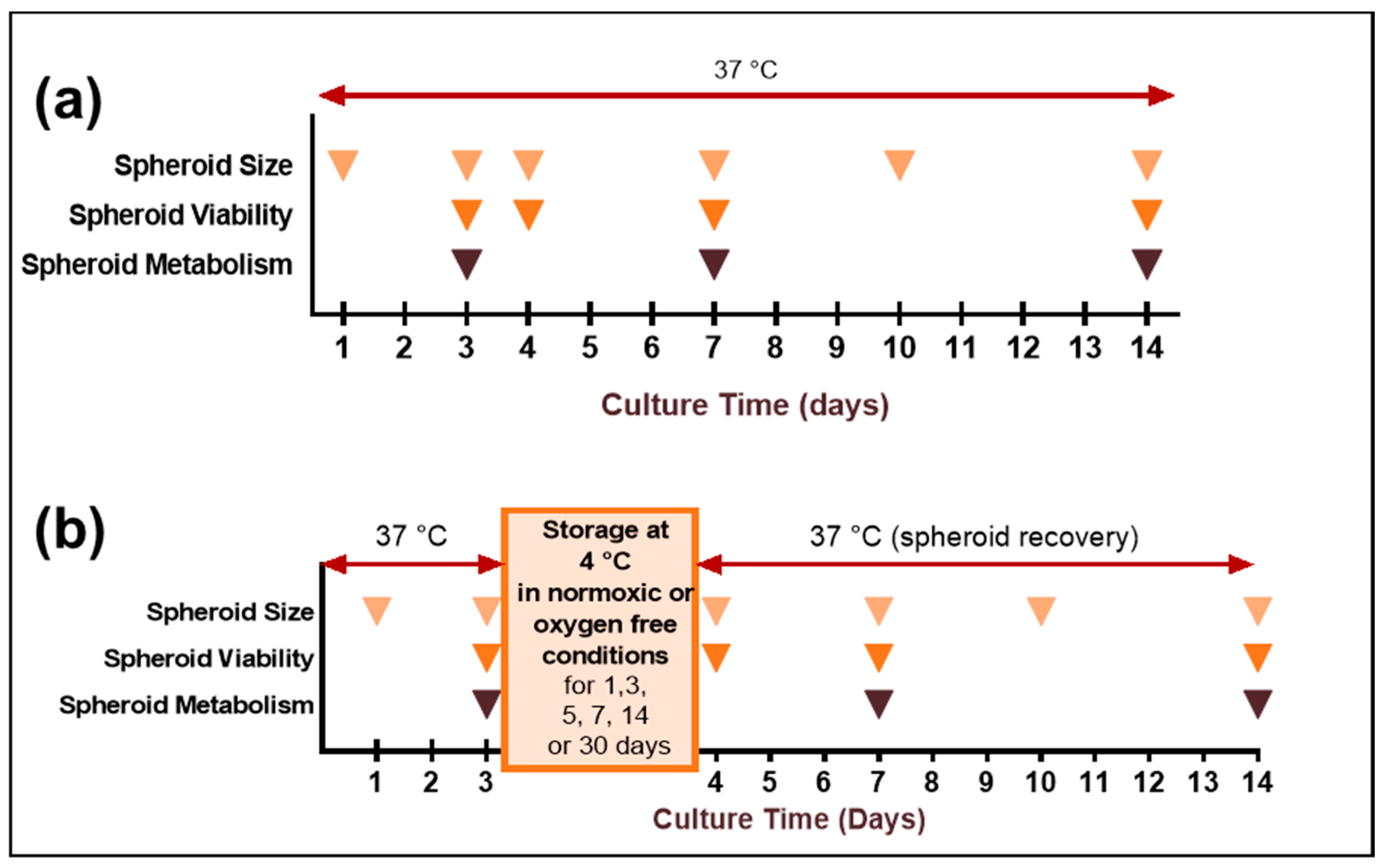Cancers 13 01945 g001