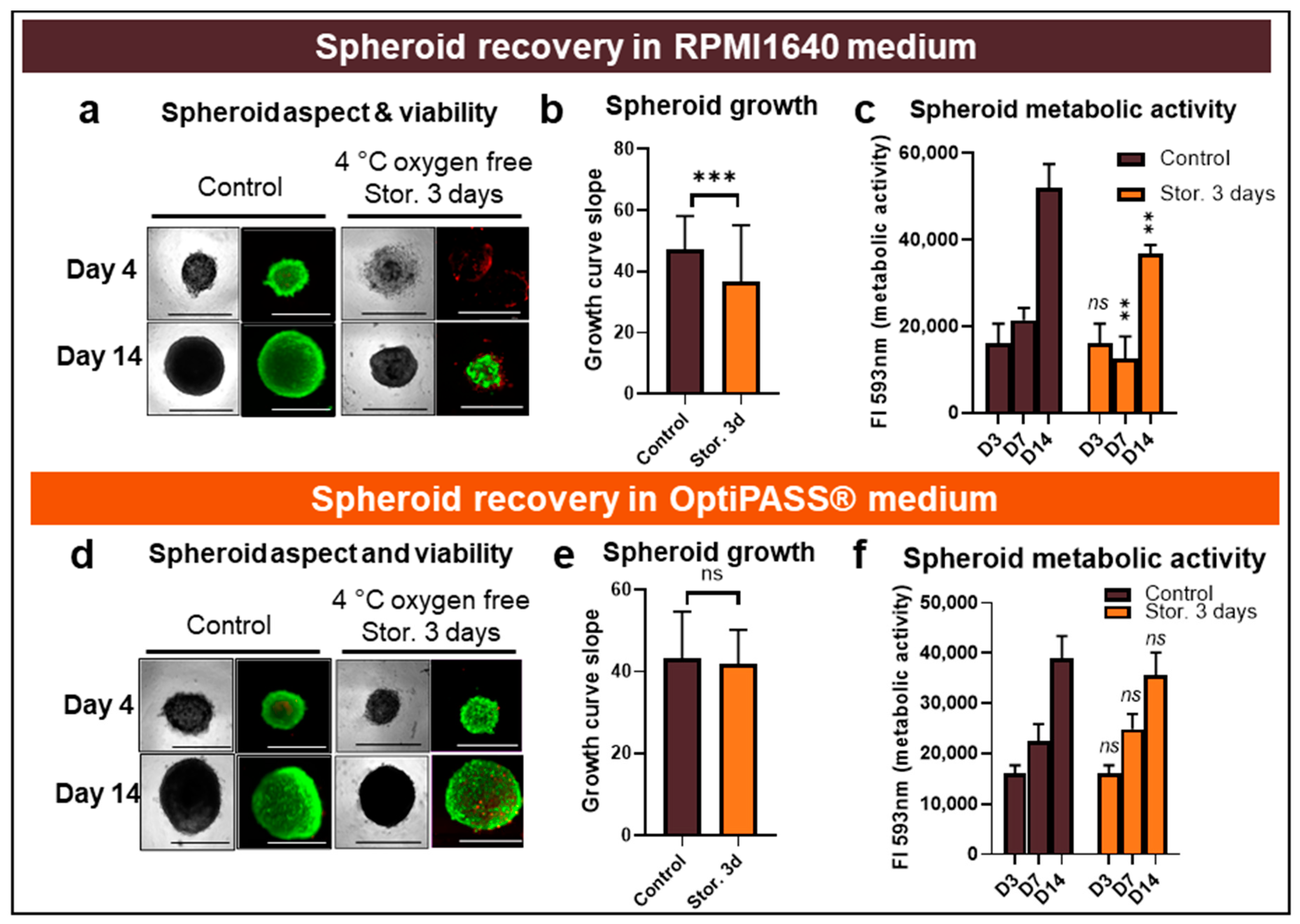 Cancers 13 01945 g003