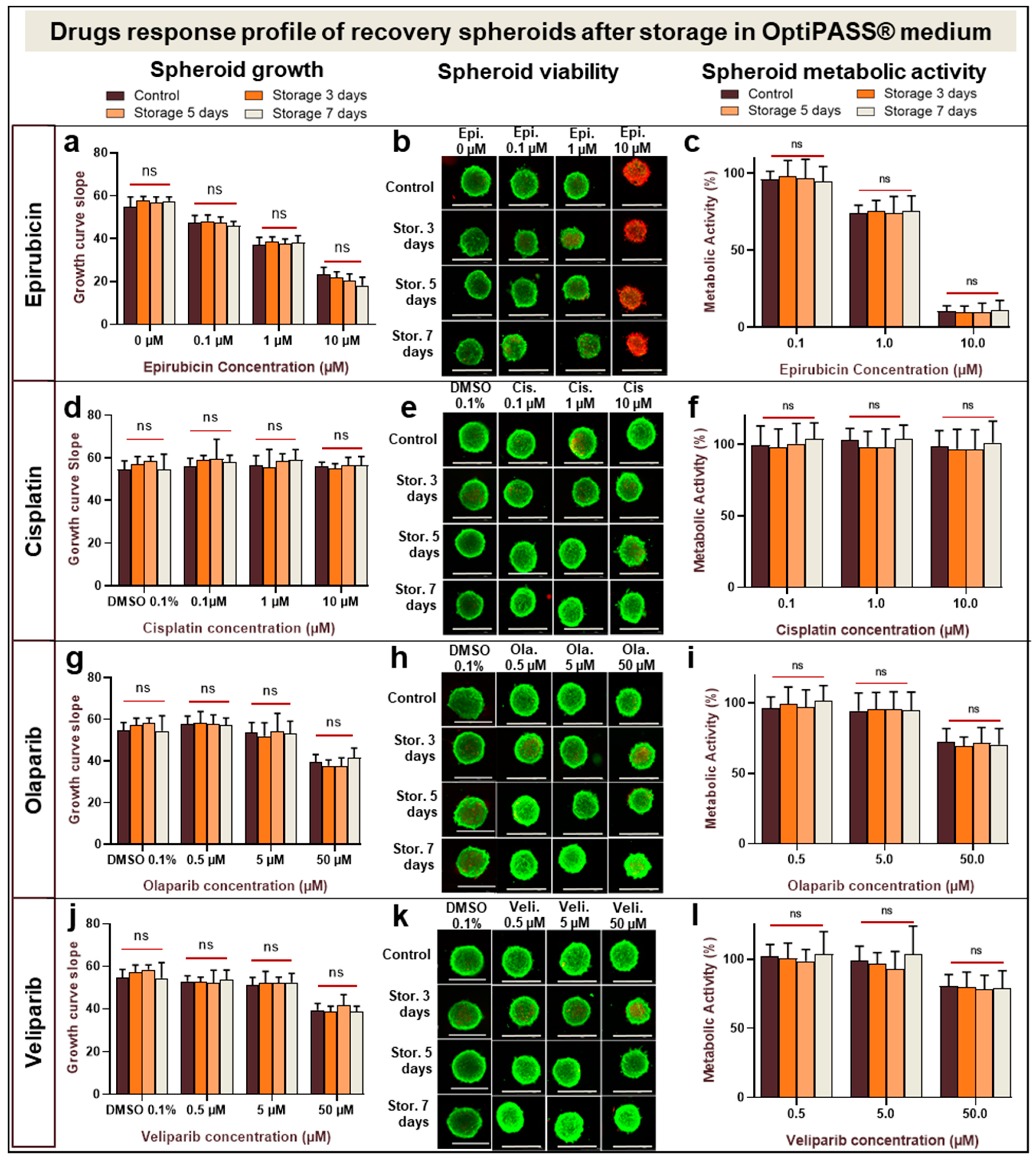 Cancers 13 01945 g005