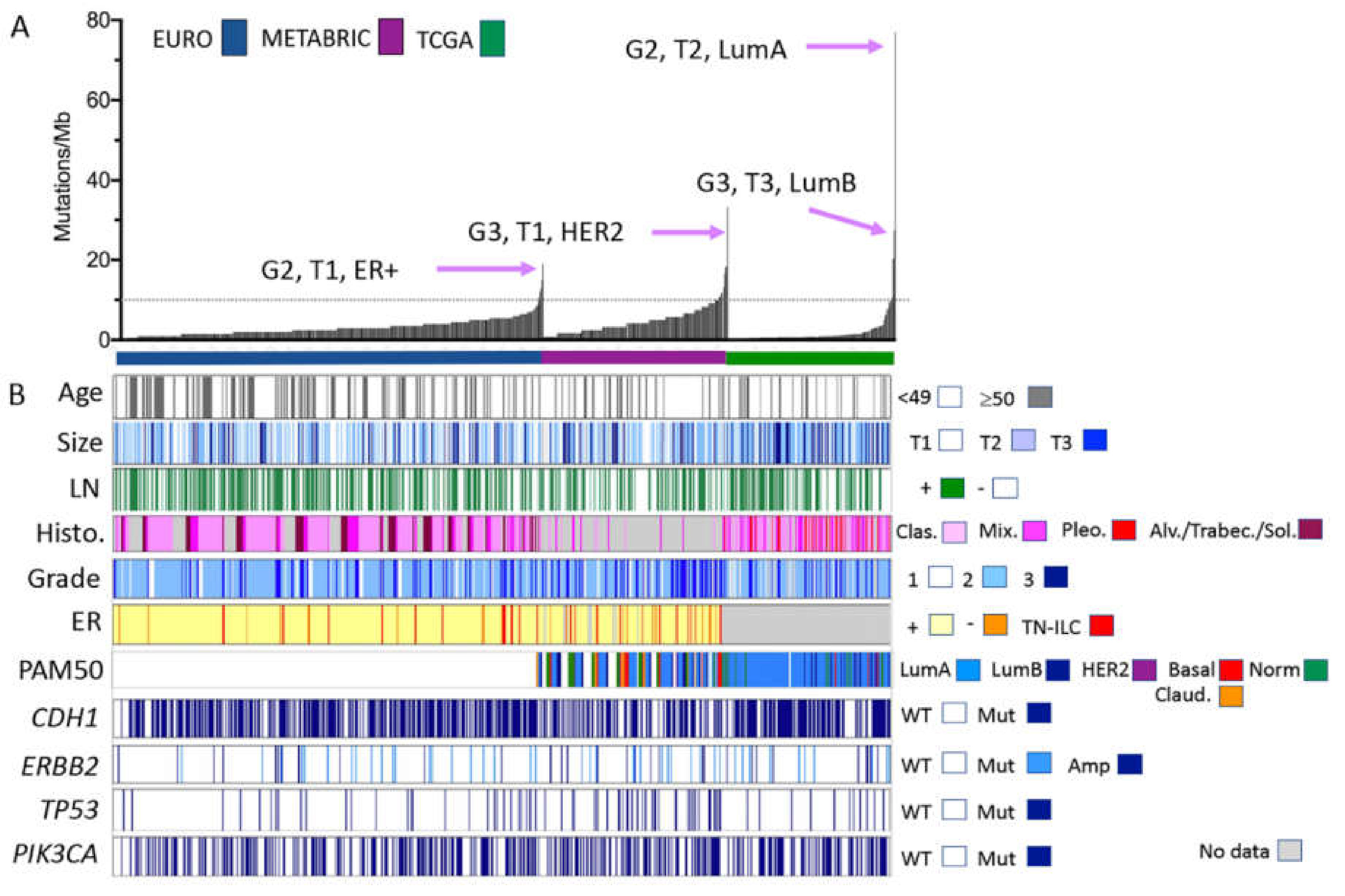 Cancers 13 01950 g001