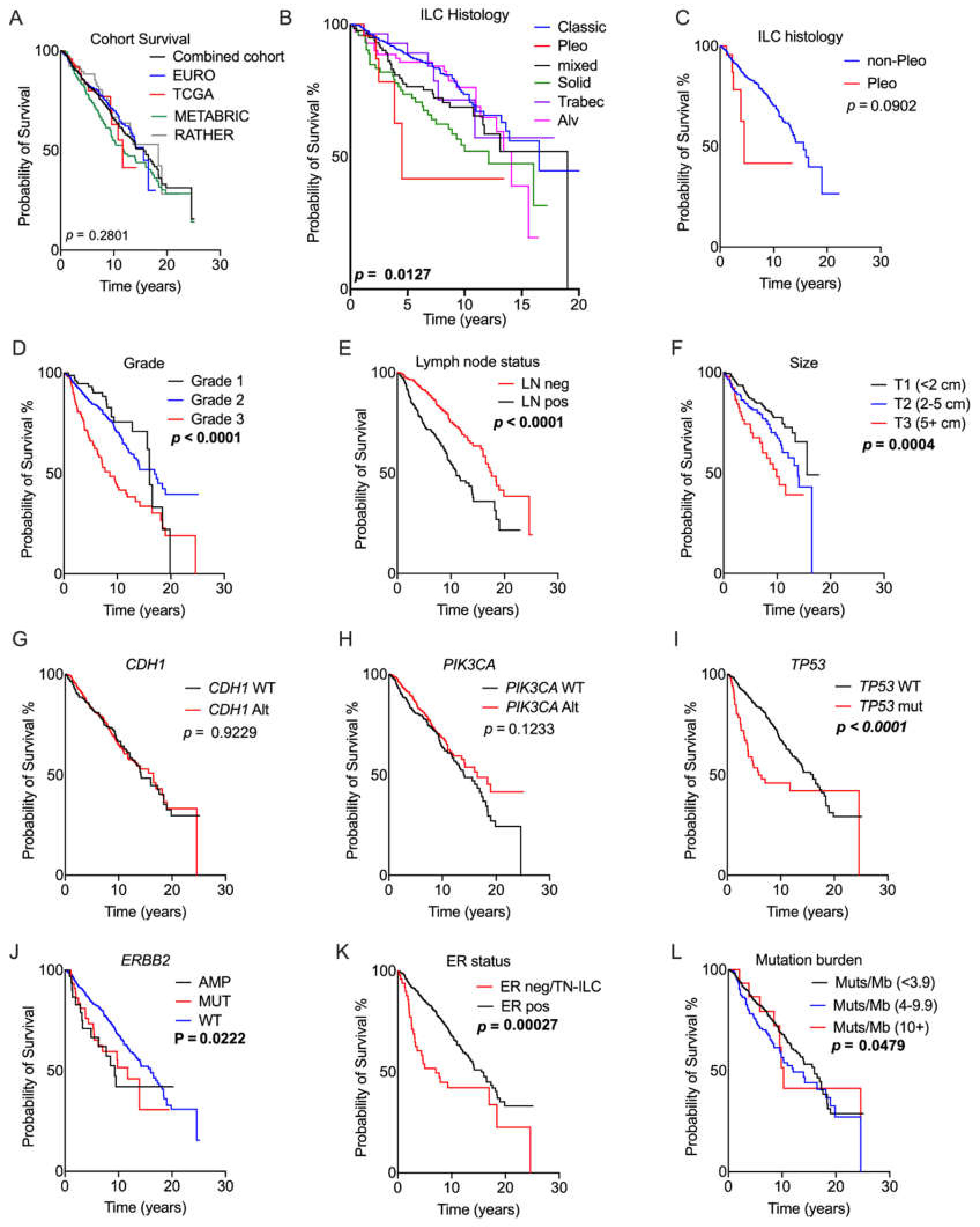 Cancers 13 01950 g002