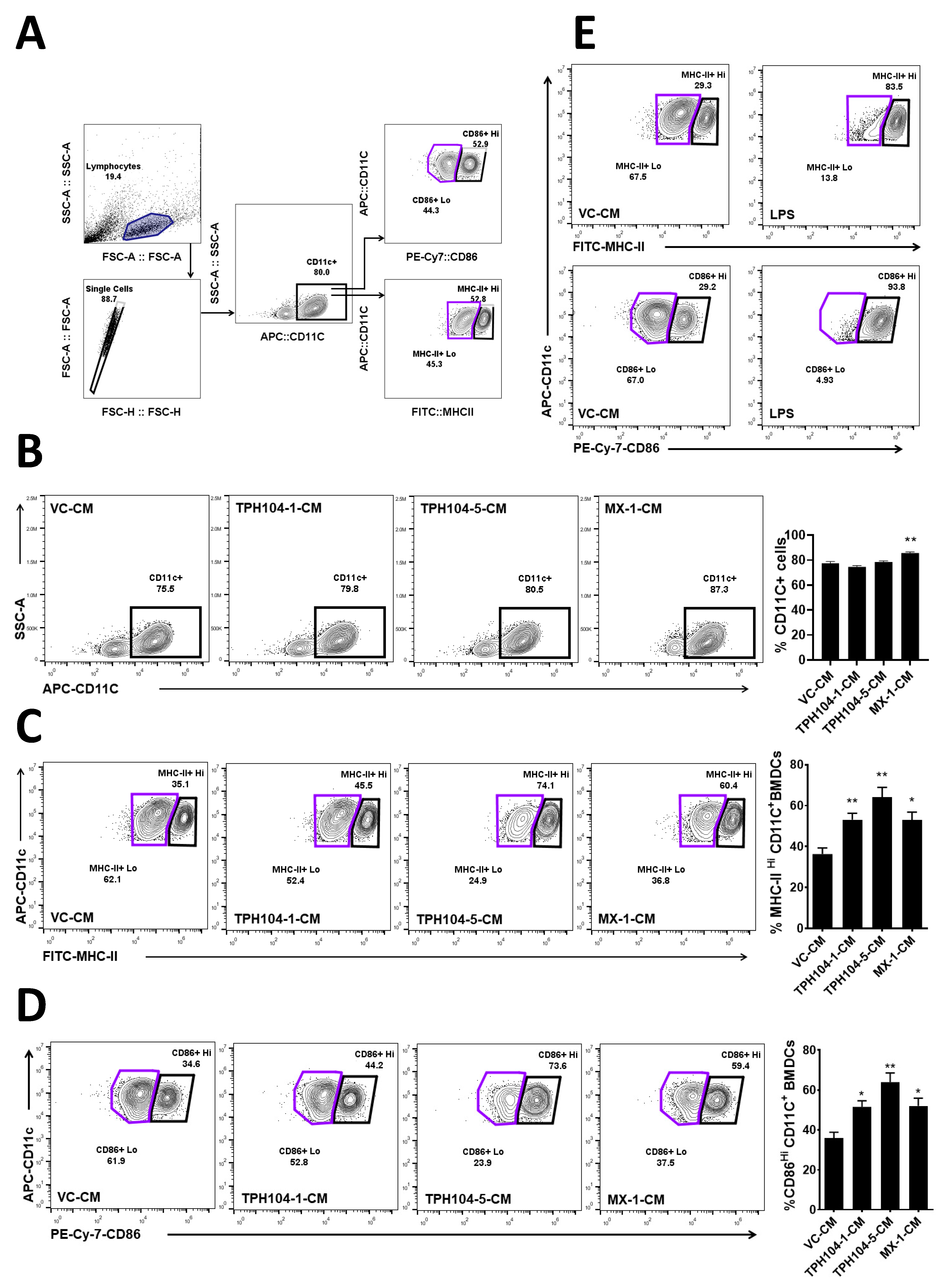 Cancers 13 01954 g004