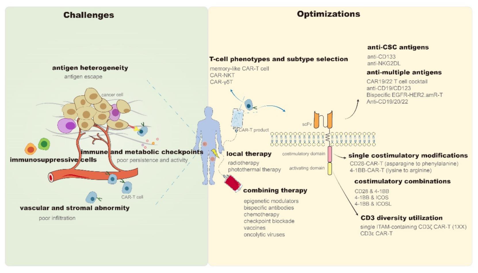 Cancers 13 01955 g001