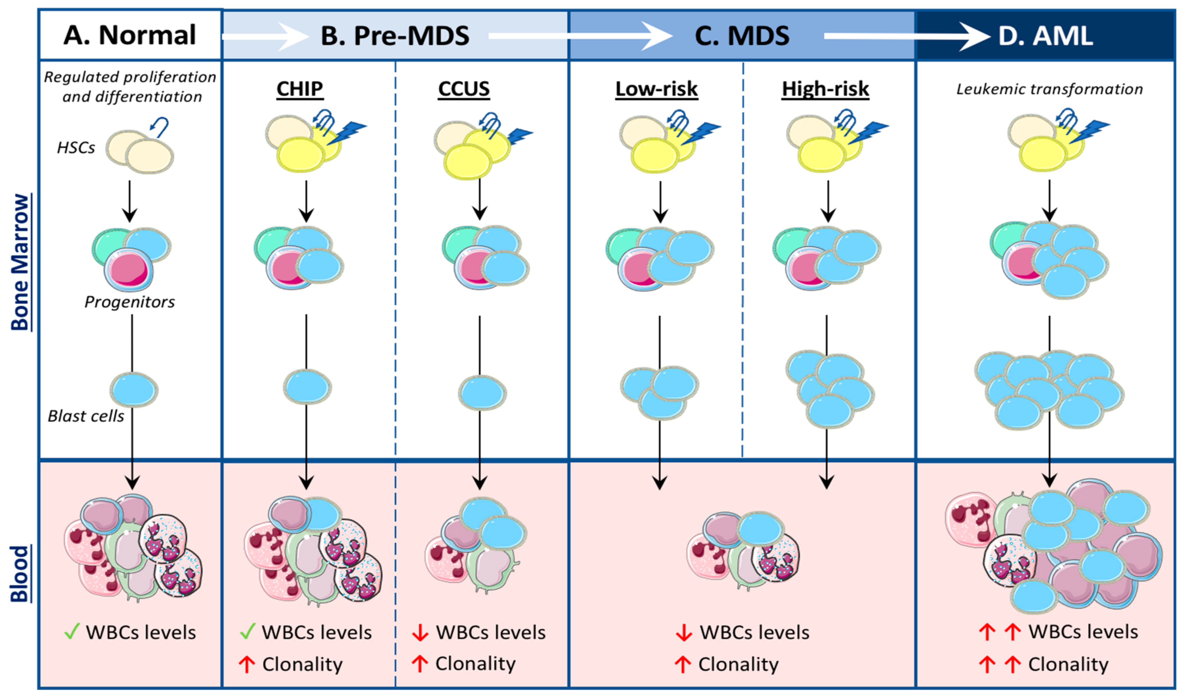 Cancers 13 01968 g001