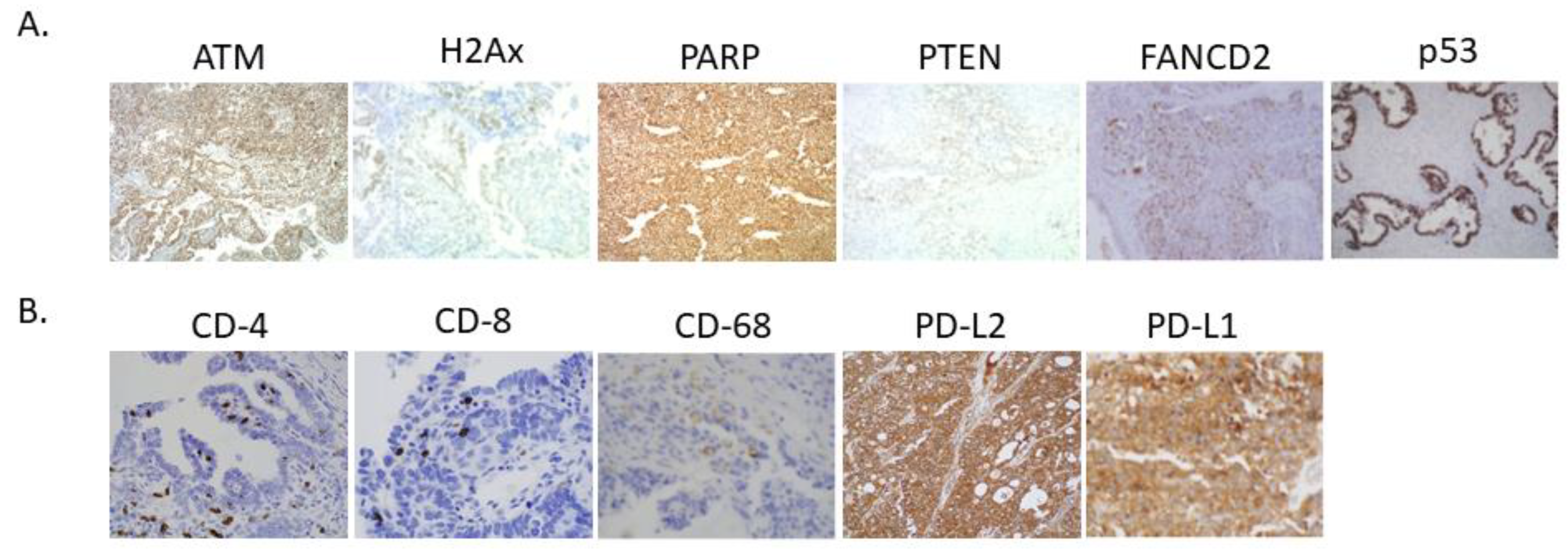 Cancers 13 01972 g001