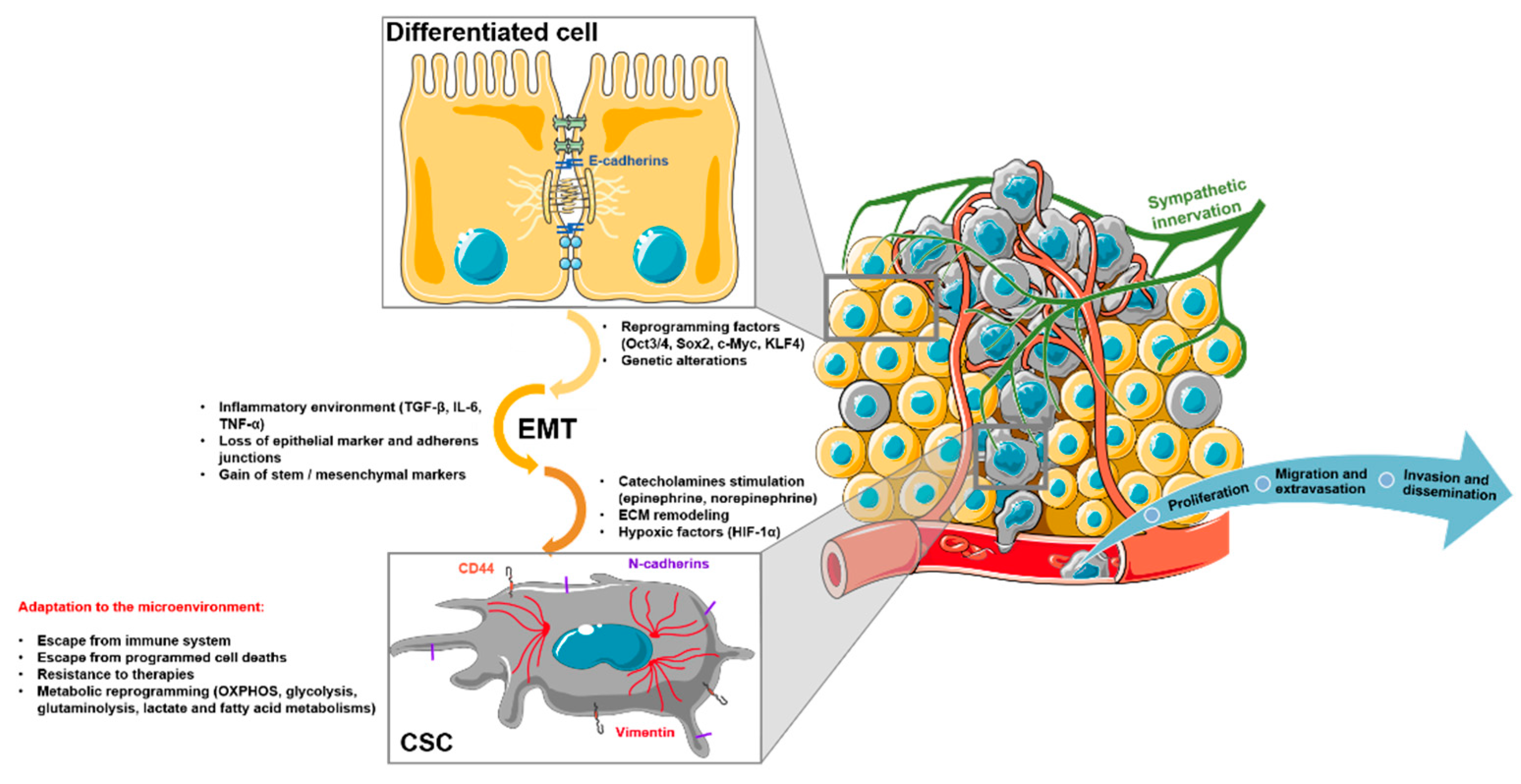 Cancers 13 01973 g001
