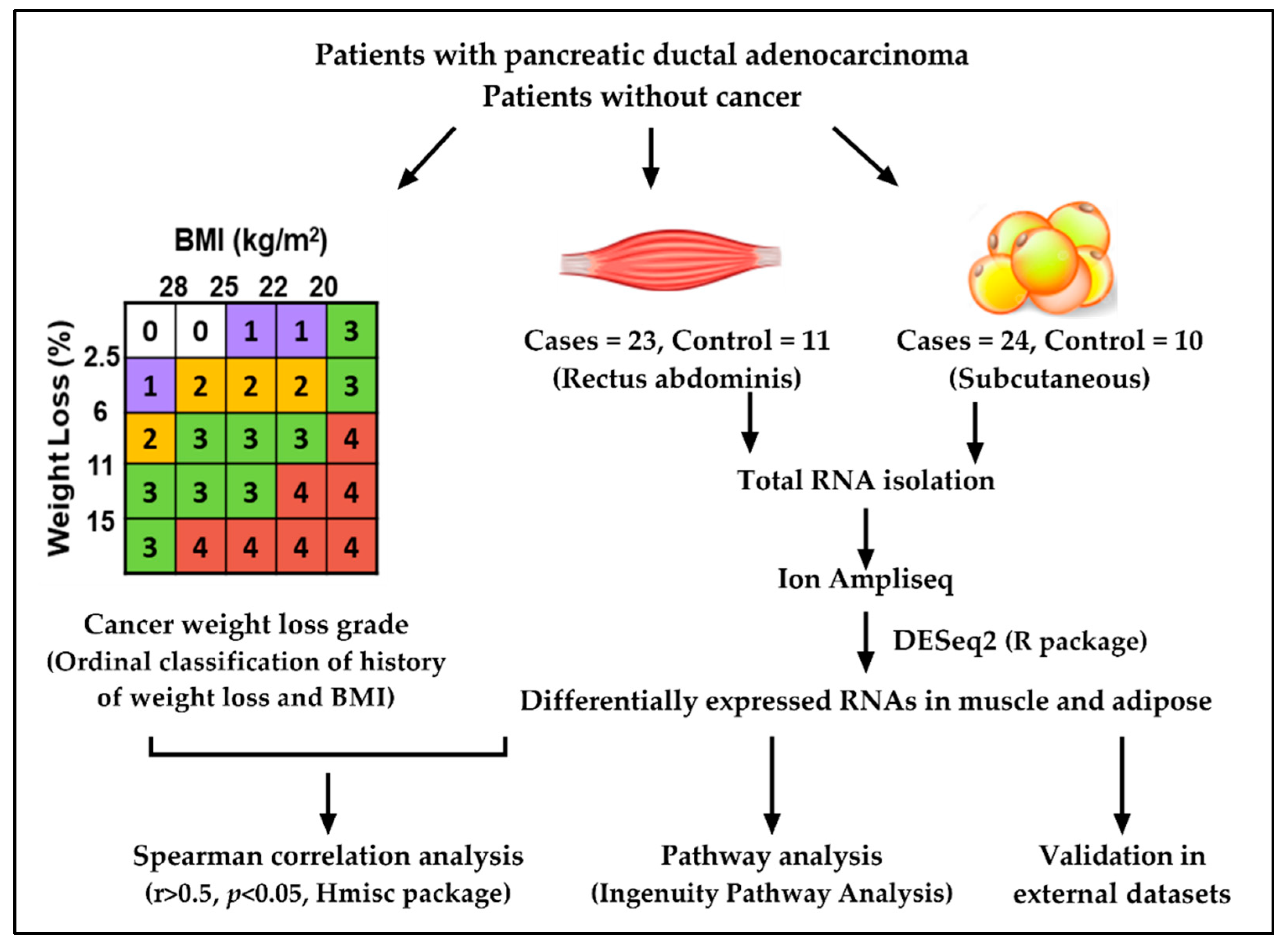 Cancers 13 01975 g001 Cancers 13 01975 g001