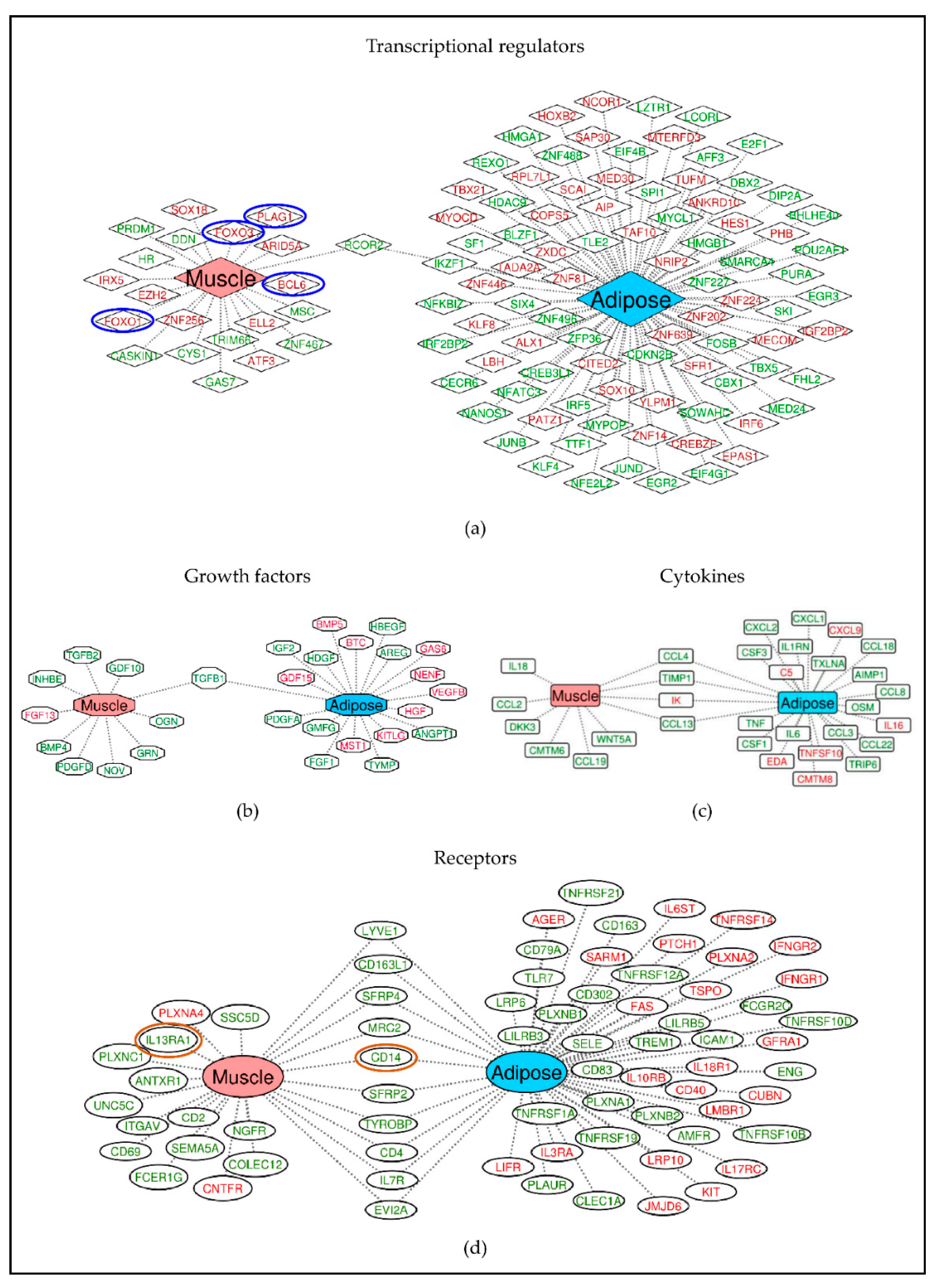 Cancers 13 01975 g005 Cancers 13 01975 g005