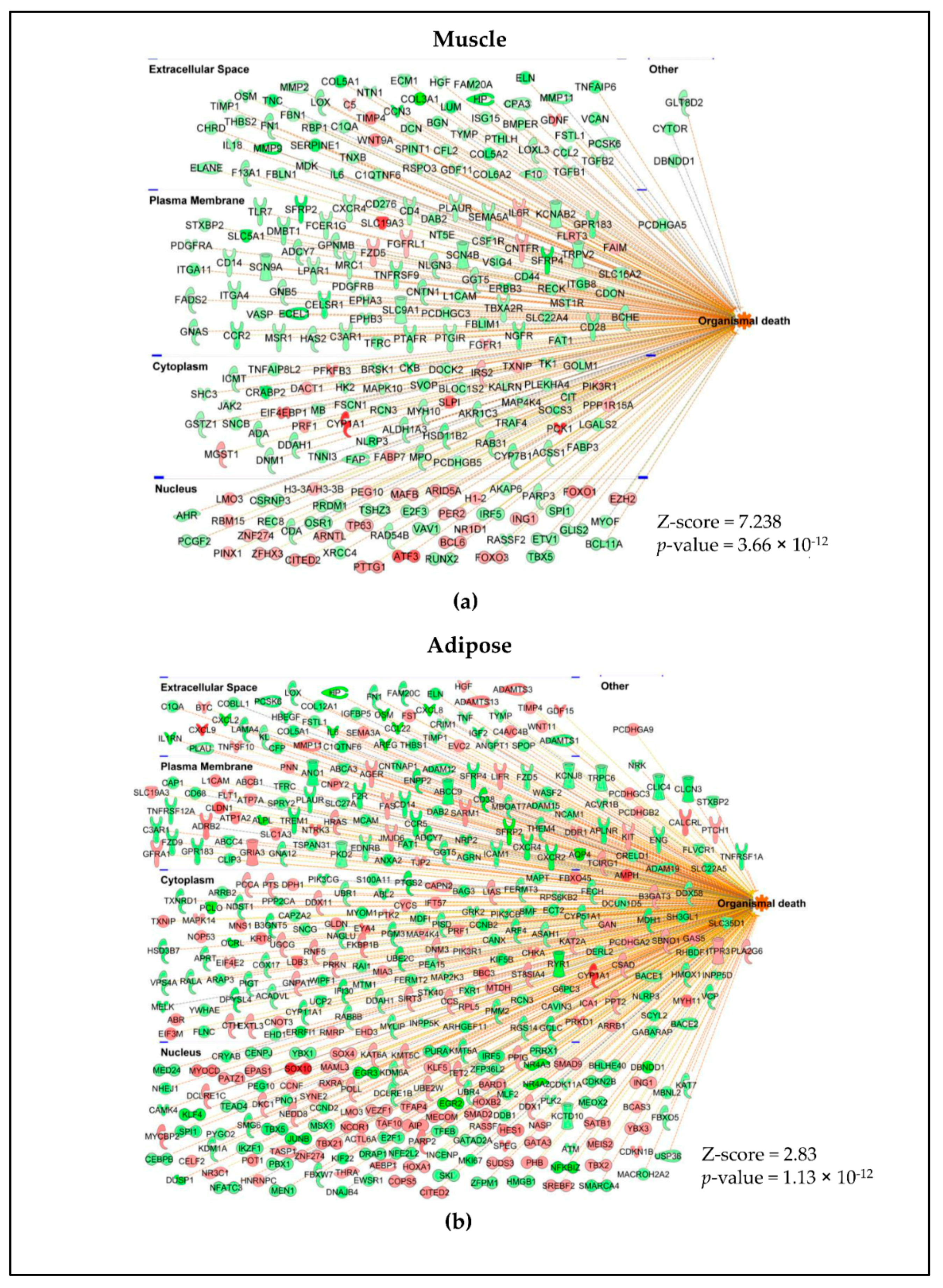 Cancers 13 01975 g006 Cancers 13 01975 g006