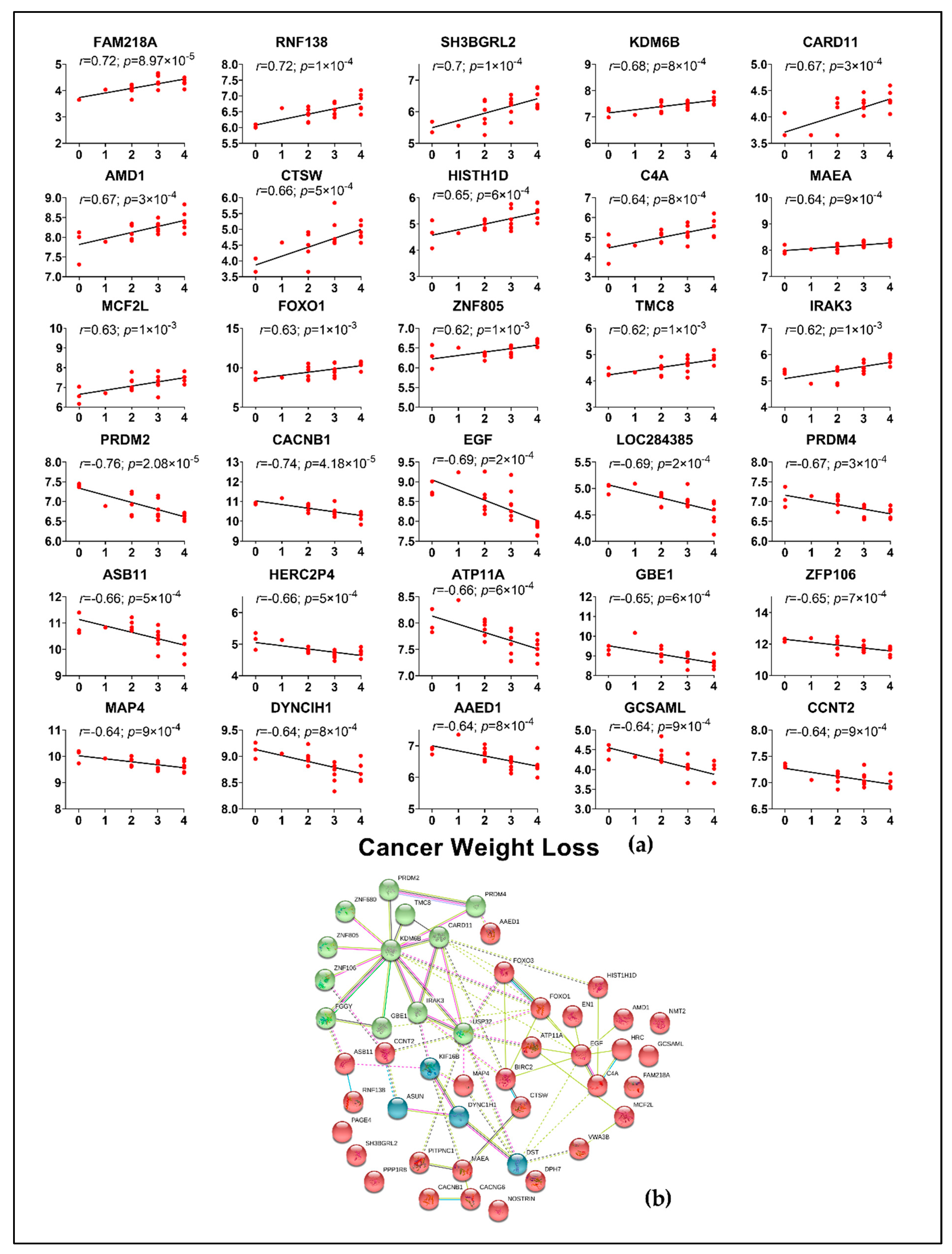 Cancers 13 01975 g007 Cancers 13 01975 g007