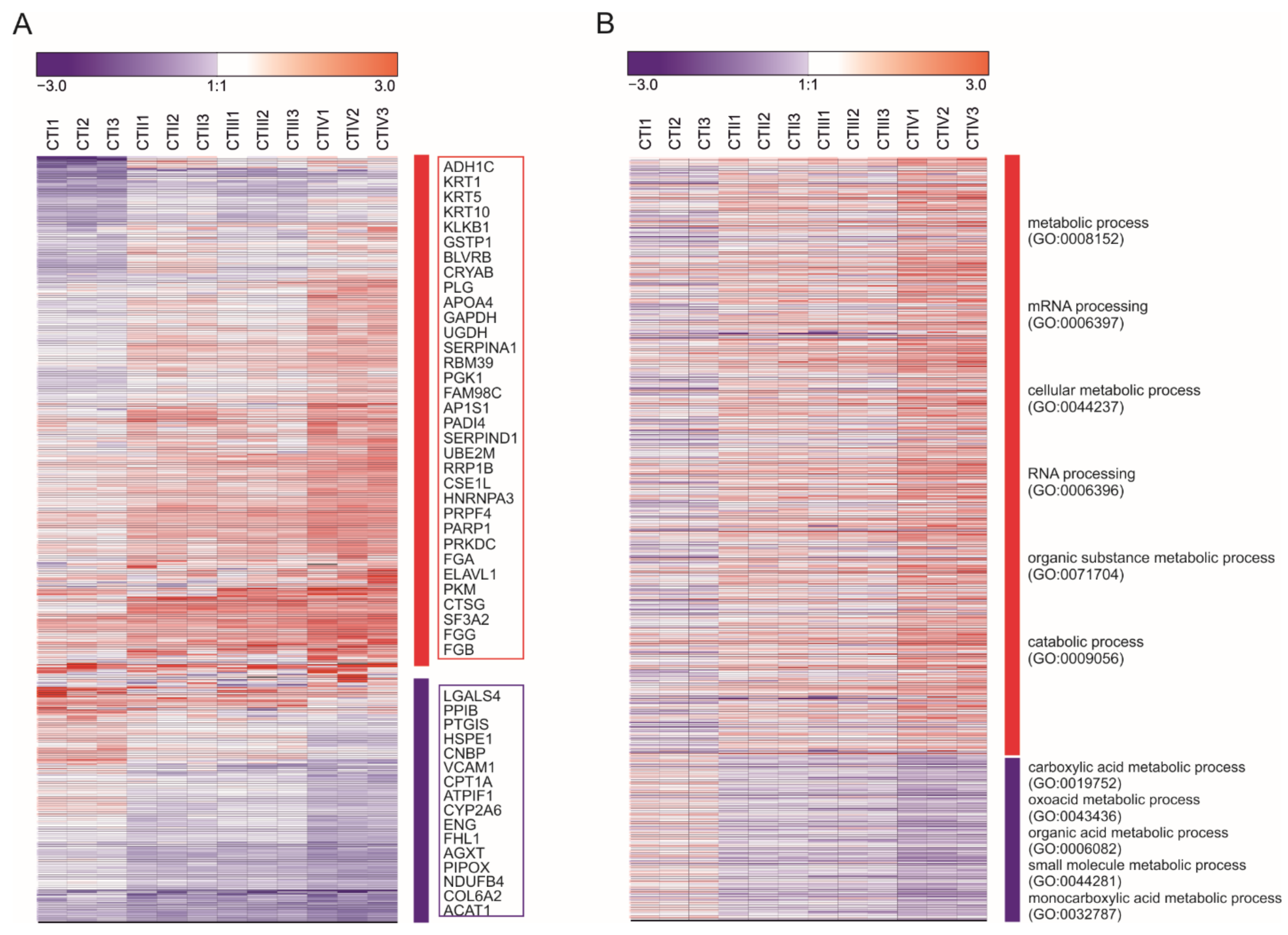 Cancers 13 01980 g001
