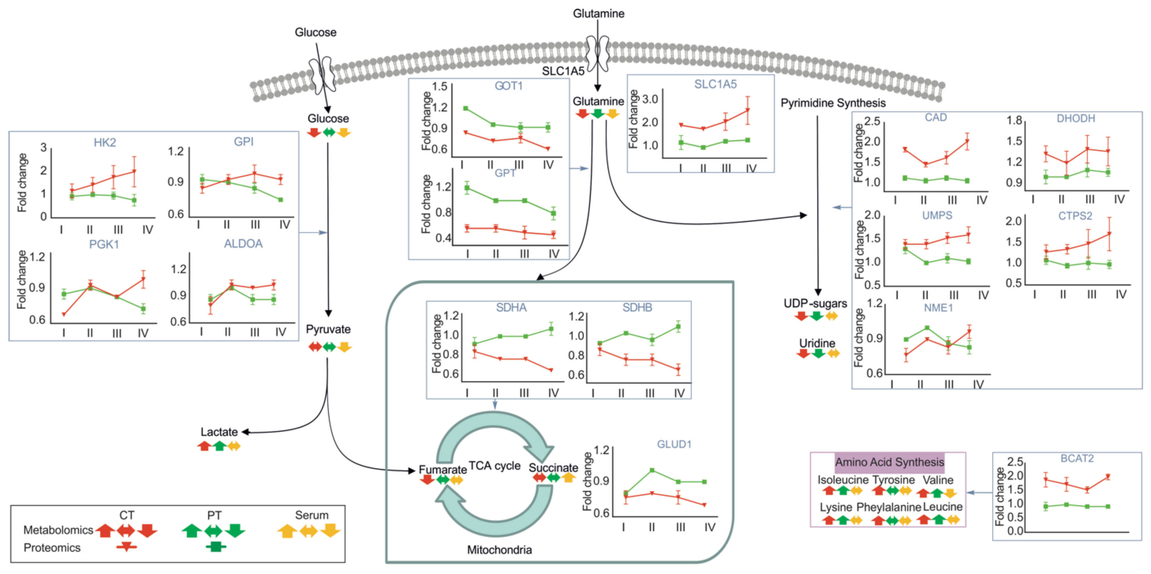 Cancers 13 01980 g006