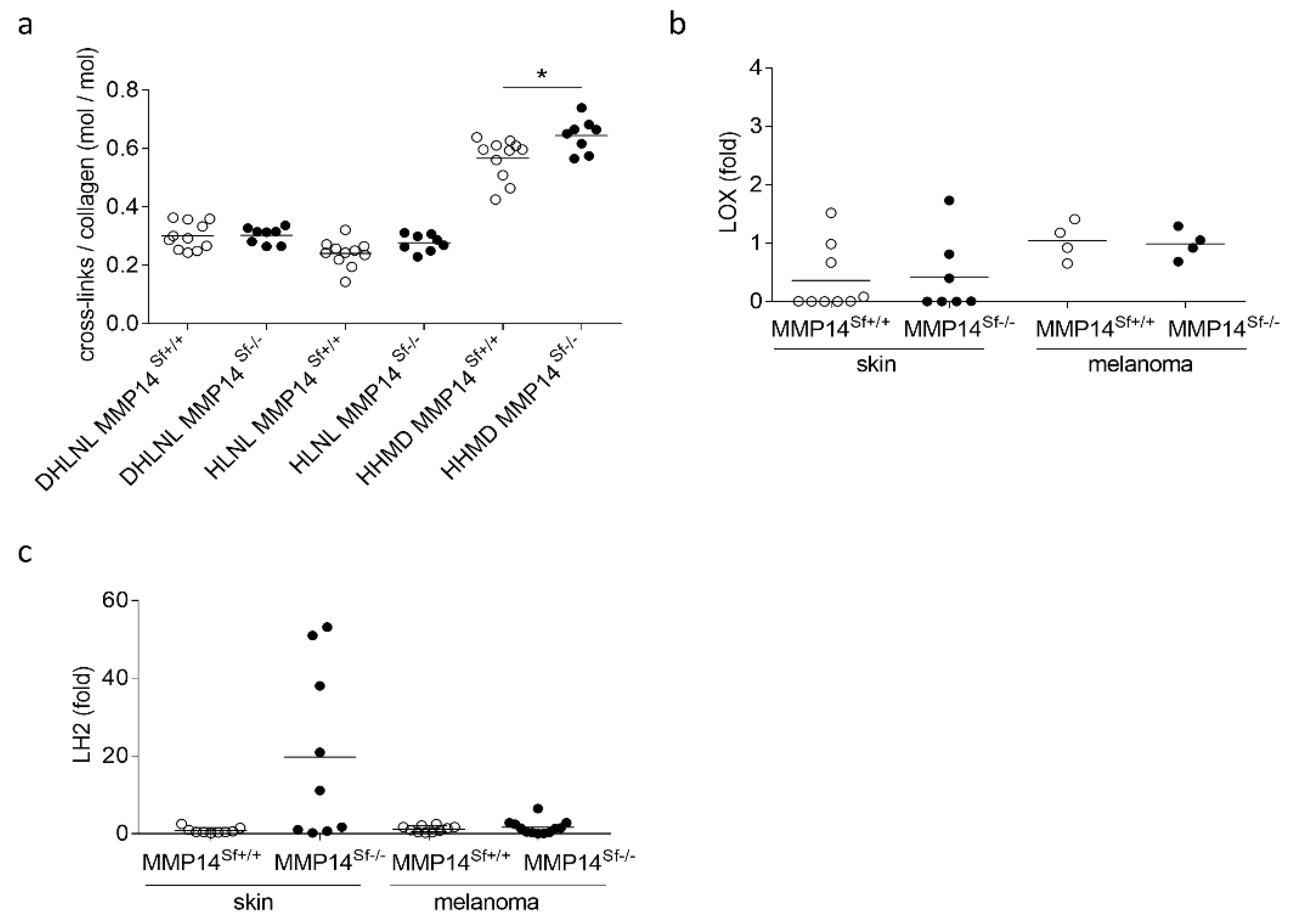 Cancers 13 01984 g002