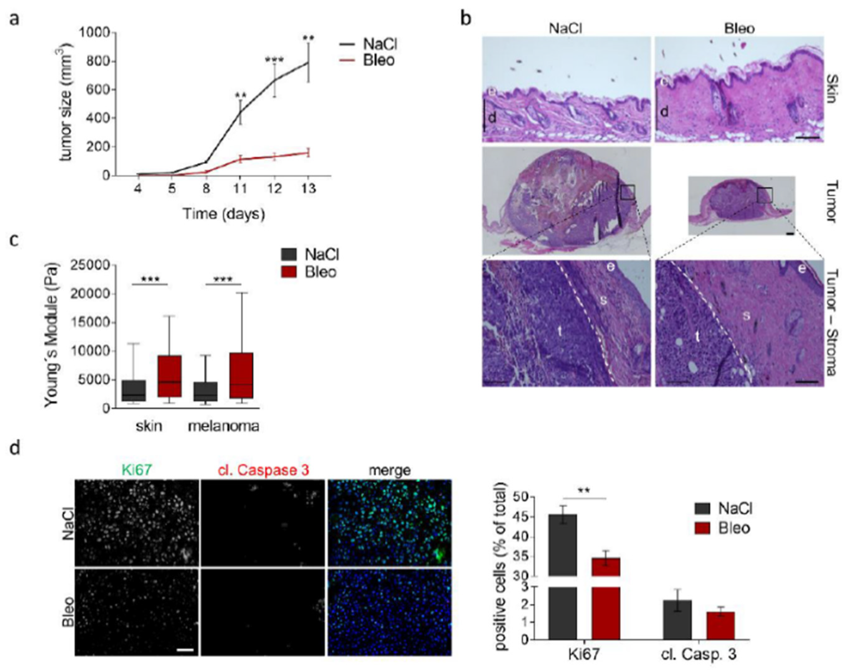 Cancers 13 01984 g006