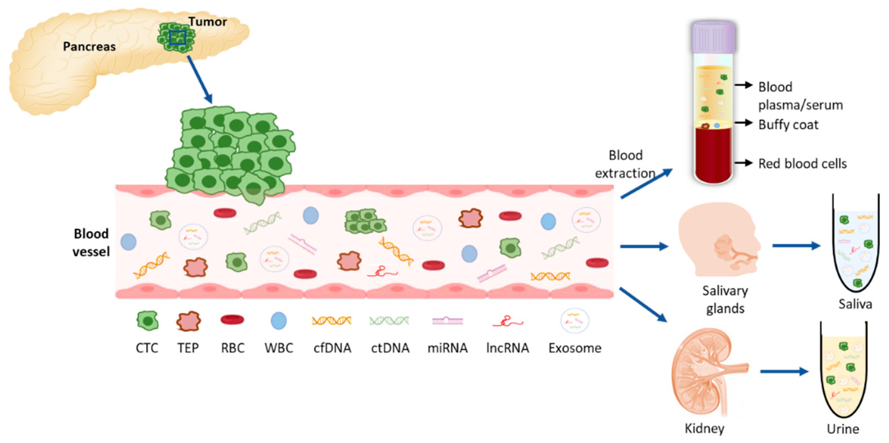 Cancers 13 01986 g002