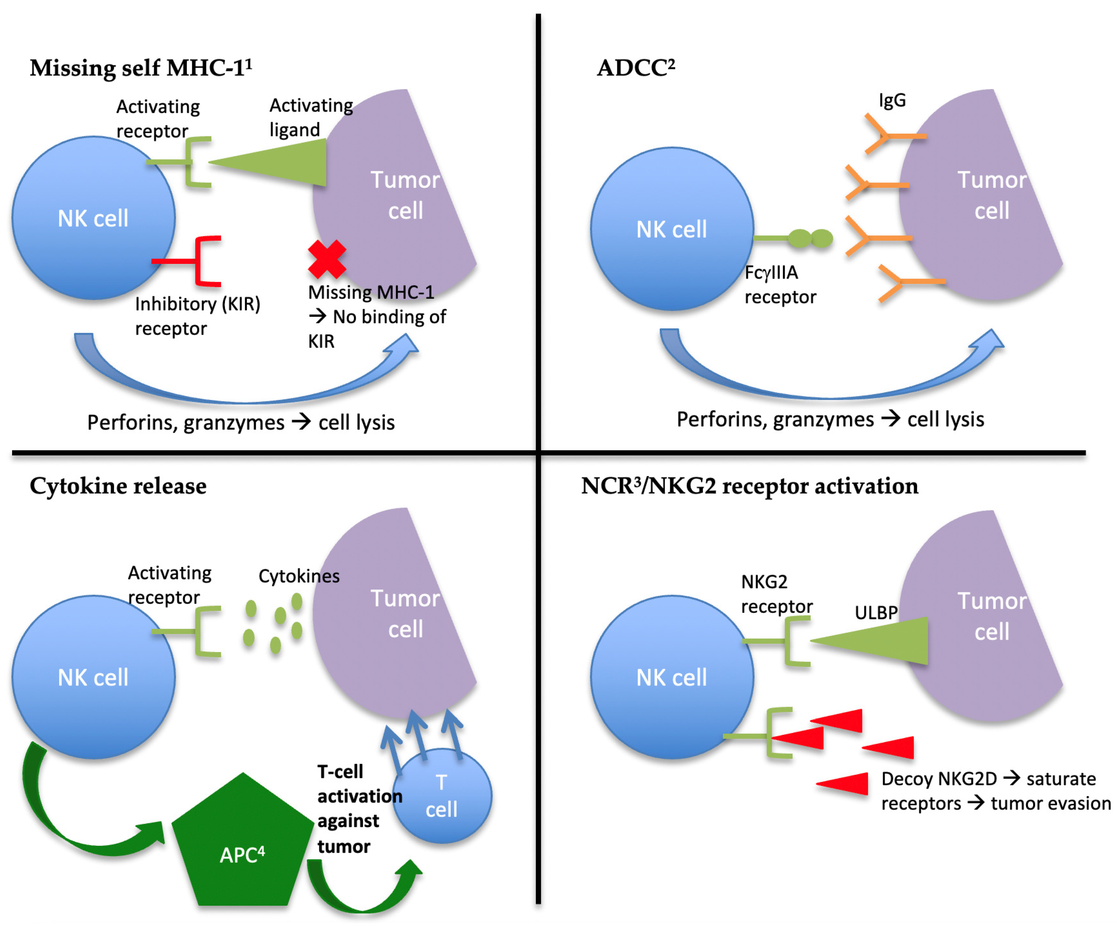 Cancers 13 01988 g001 Cancers 13 01988 g001