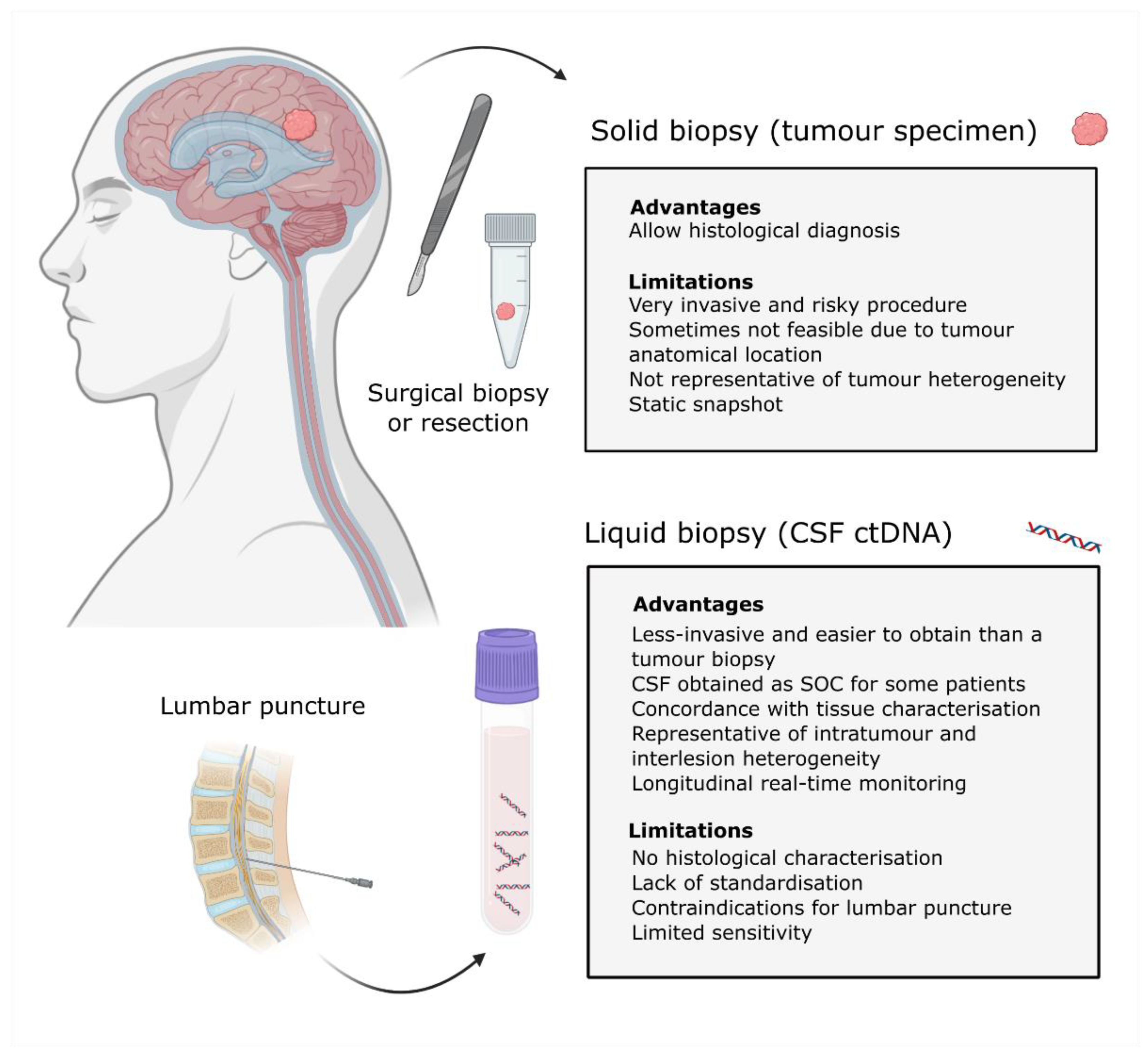 Cancers 13 01989 g001