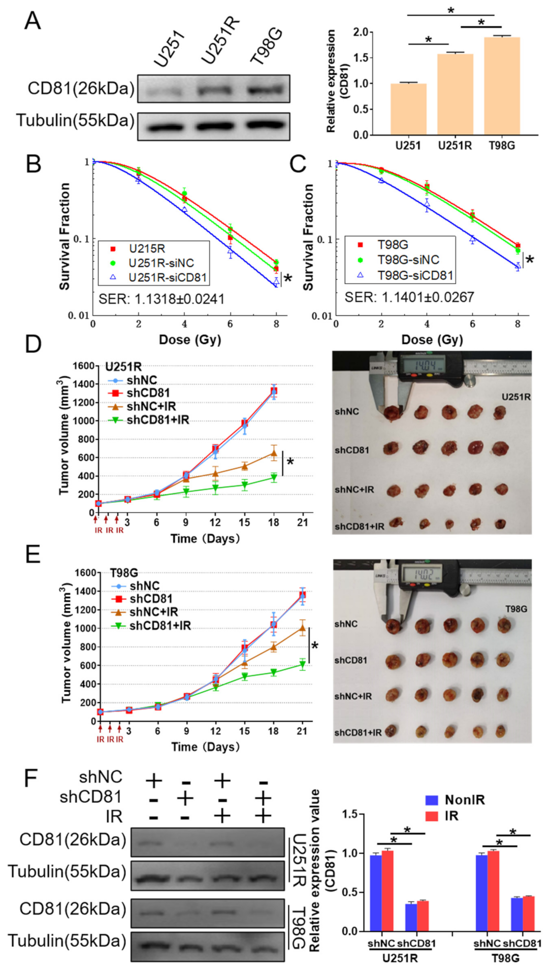 Cancers 13 01998 g002
