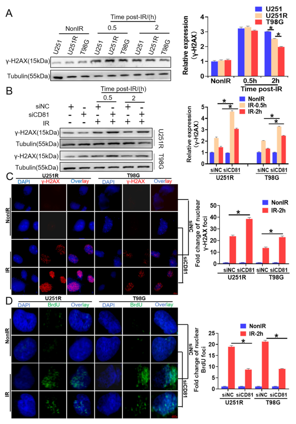 Cancers 13 01998 g003