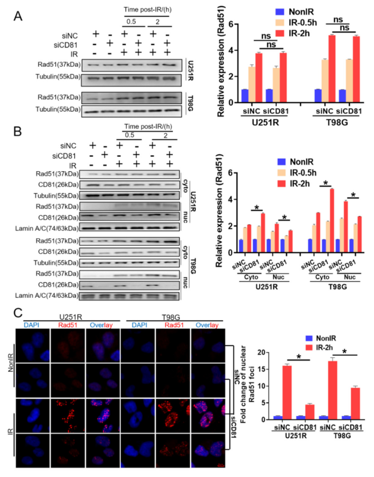 Cancers 13 01998 g004