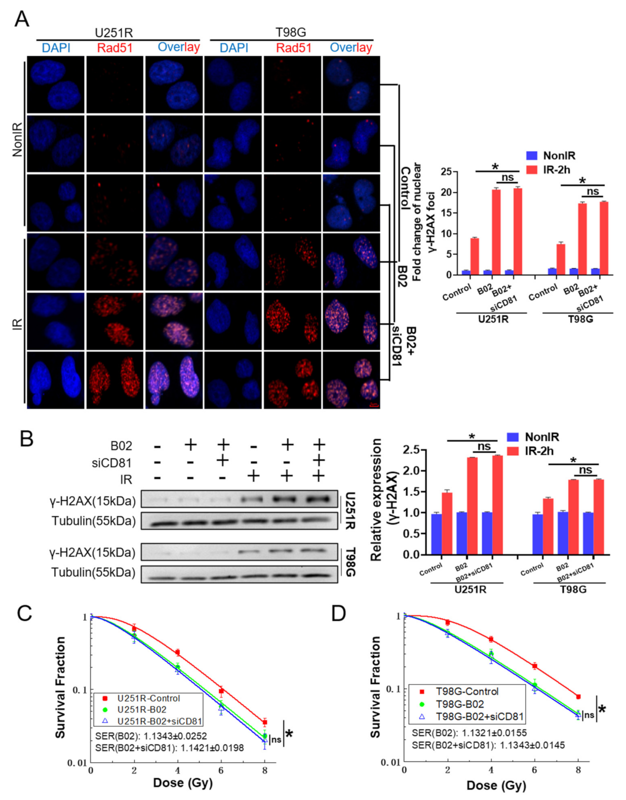 Cancers 13 01998 g006