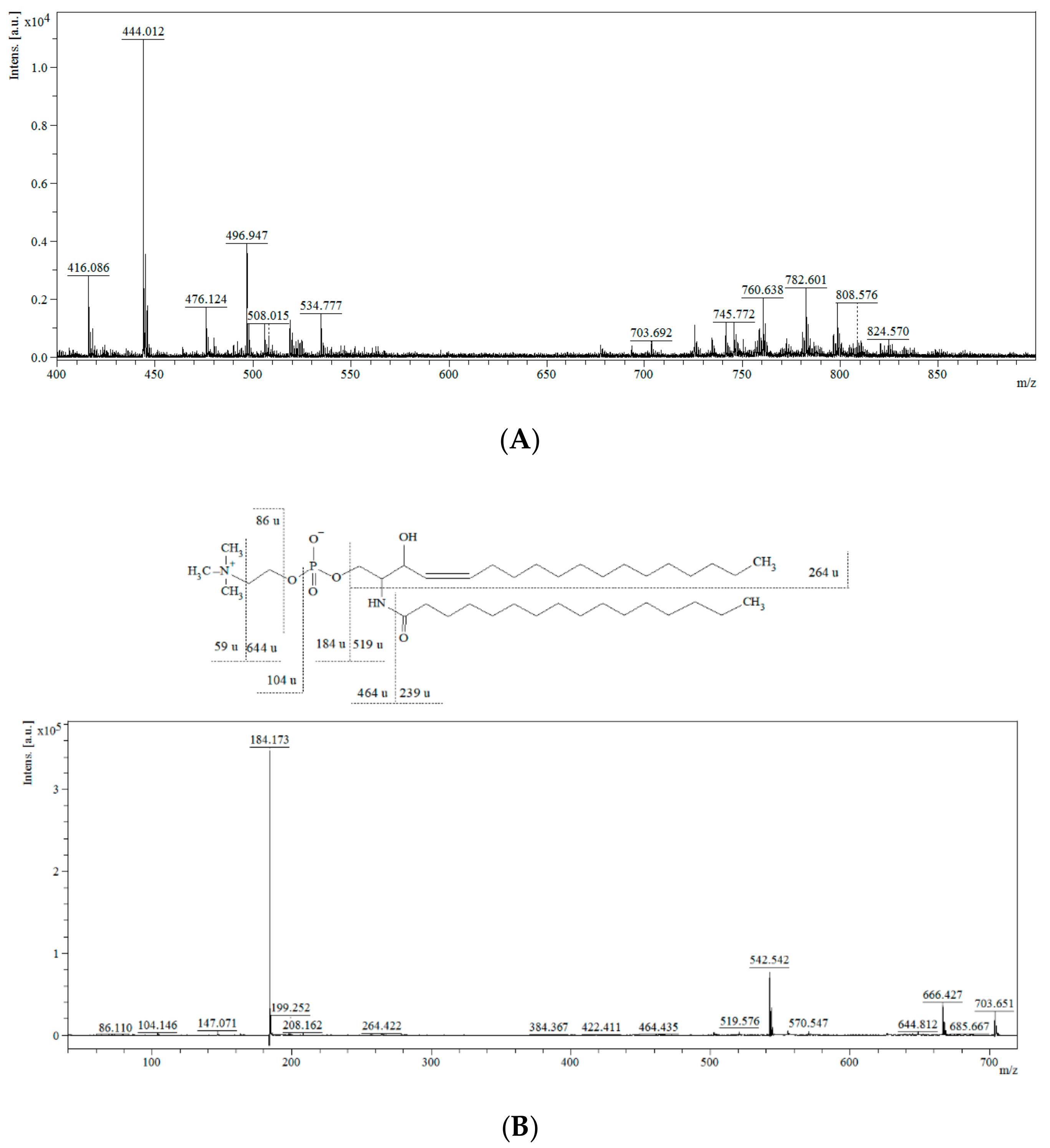 Cancers 13 02000 g001