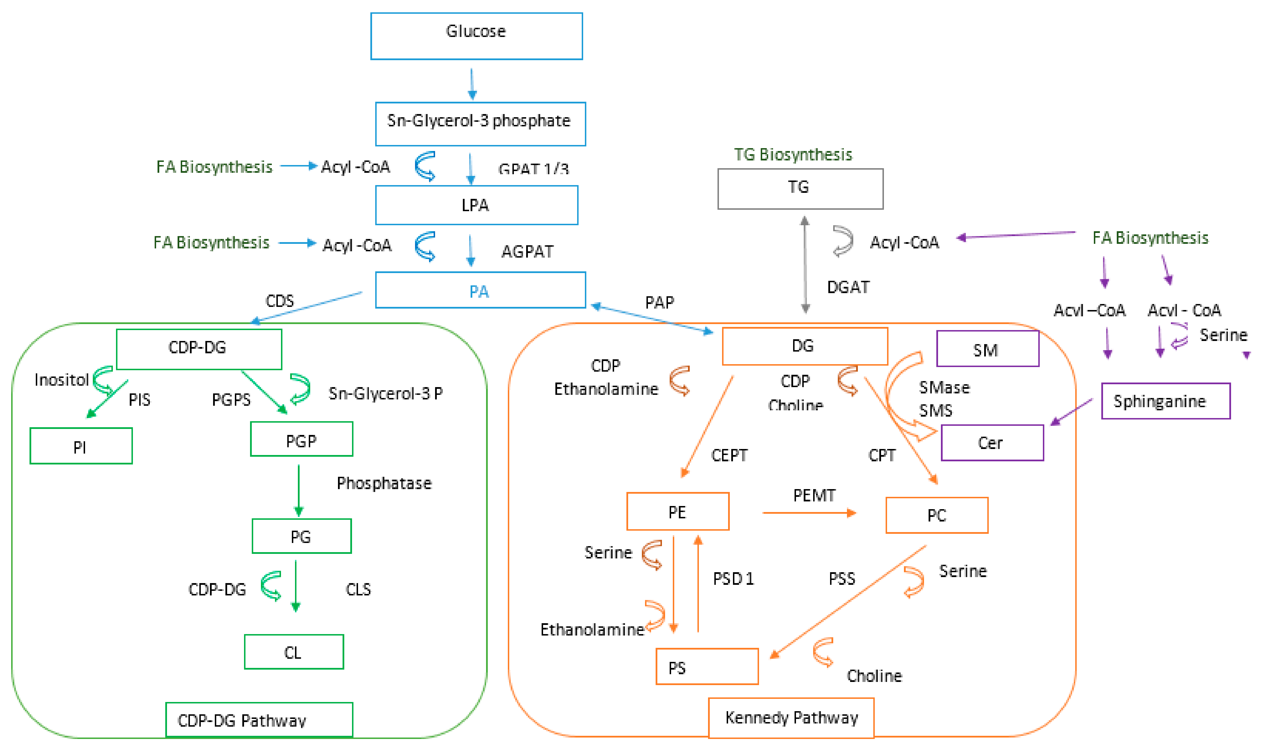 Cancers 13 02000 g009