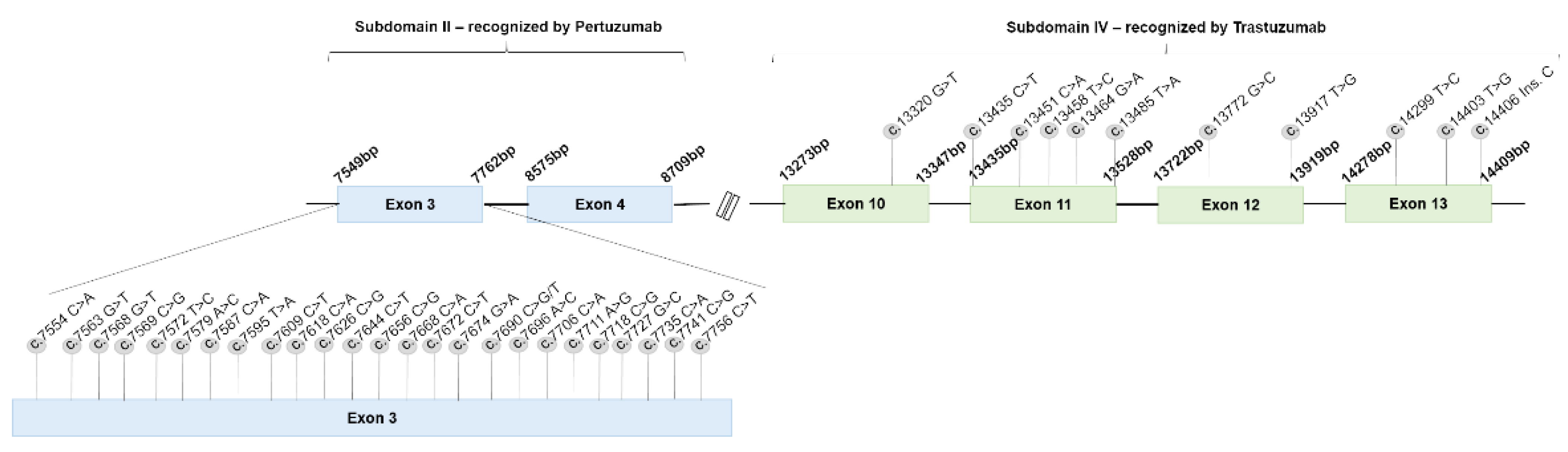 Cancers 13 02007 g007