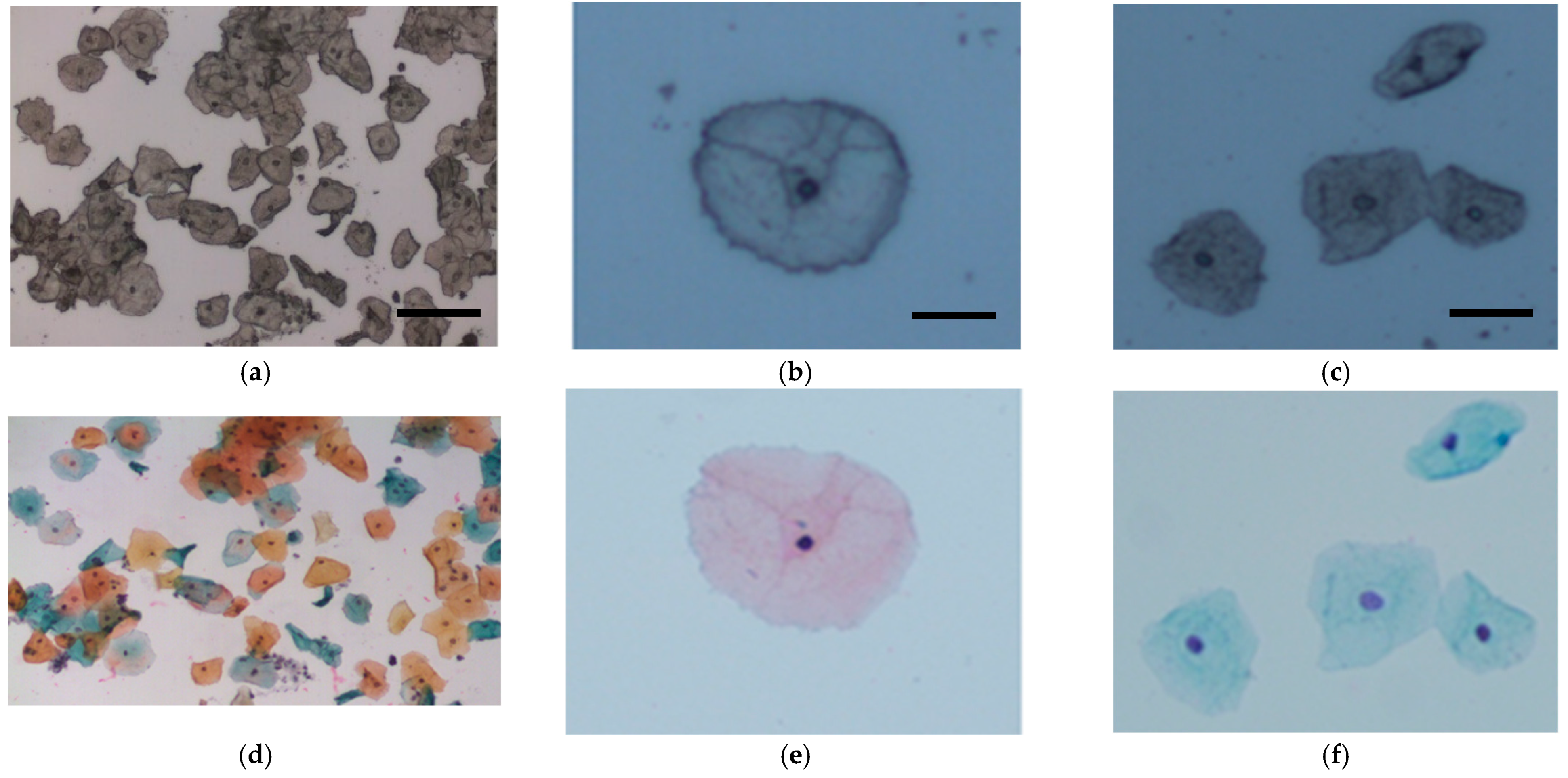 Cancers 13 02008 g001